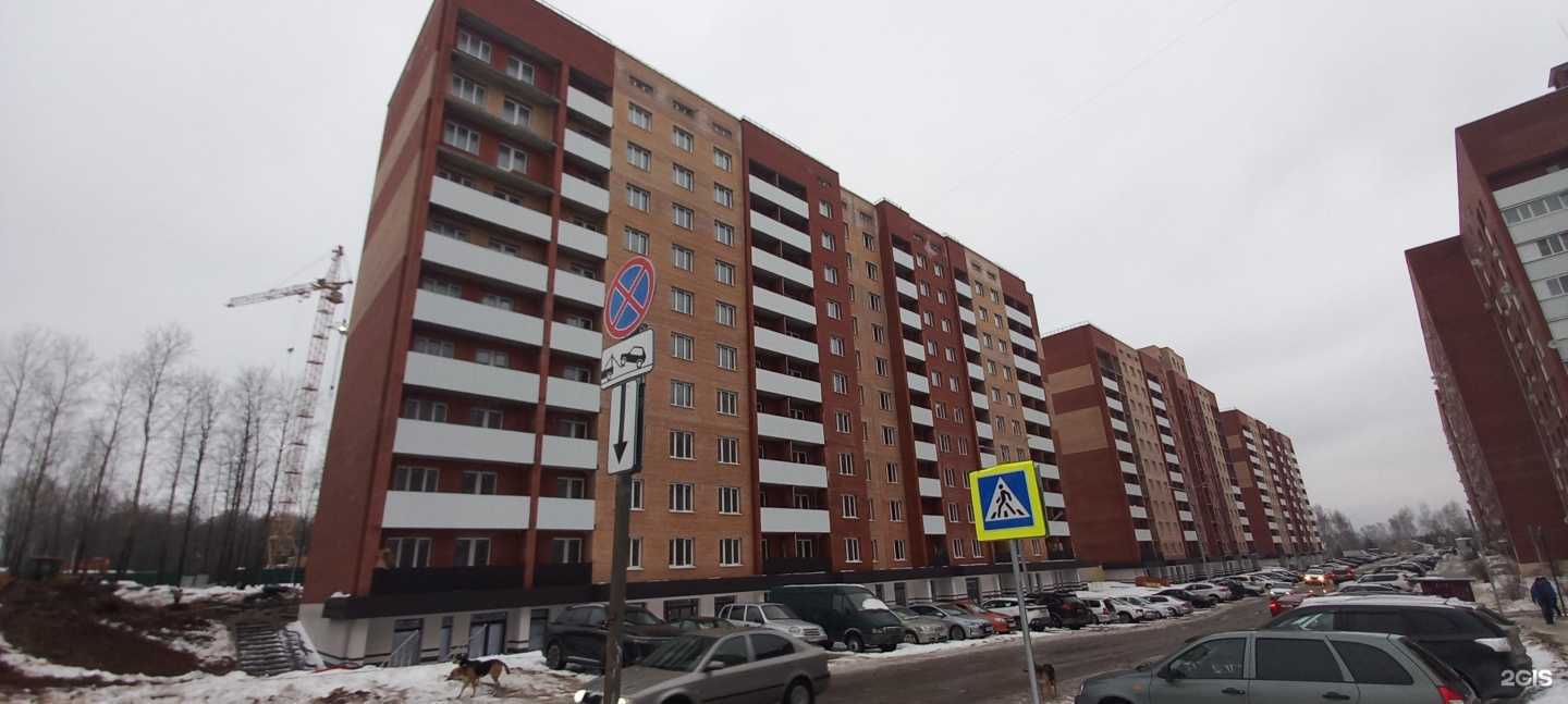 Отзывы на компанию Romi в Самаре c фото