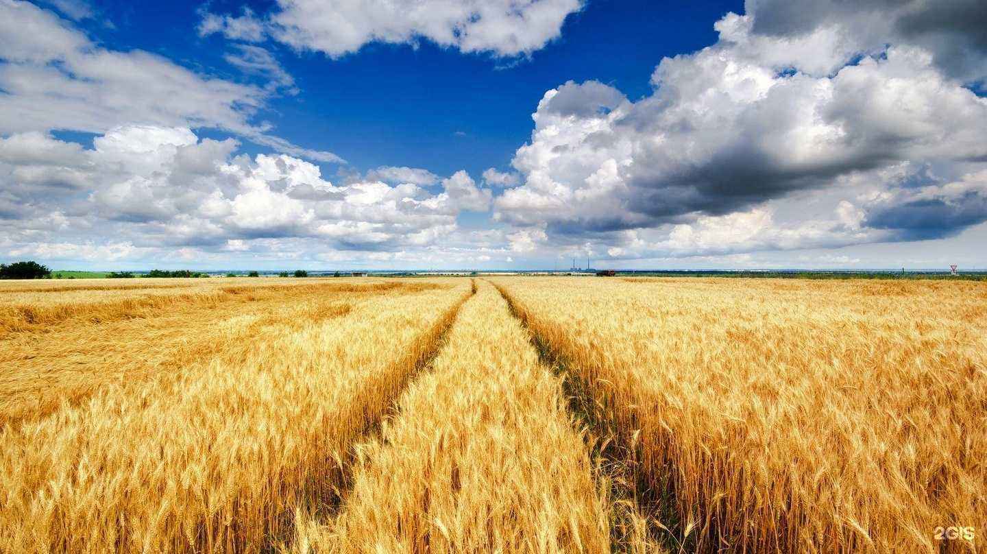 Отзывы на компанию Подшипникмаш Саратов в Саратове c фото