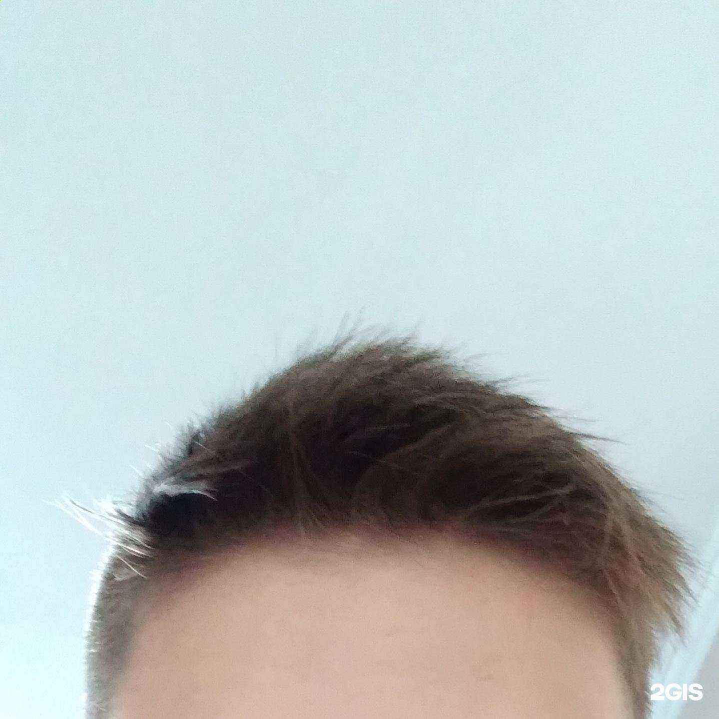 Отзывы на компанию Элита в Бийске c фото