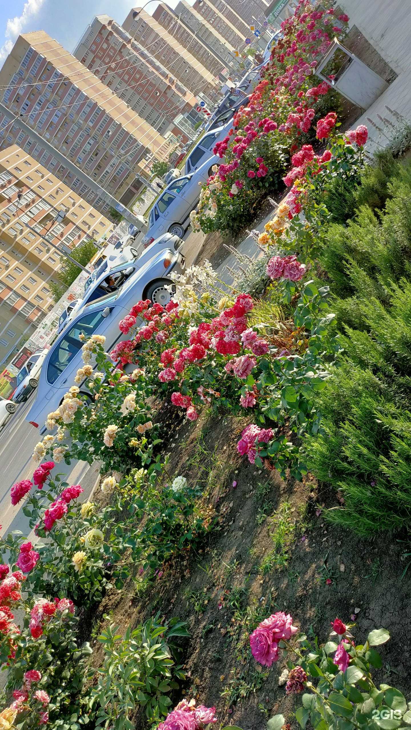 Отзывы на компанию Вита жалюзи в Краснодаре c фото - фотография 2 из 2