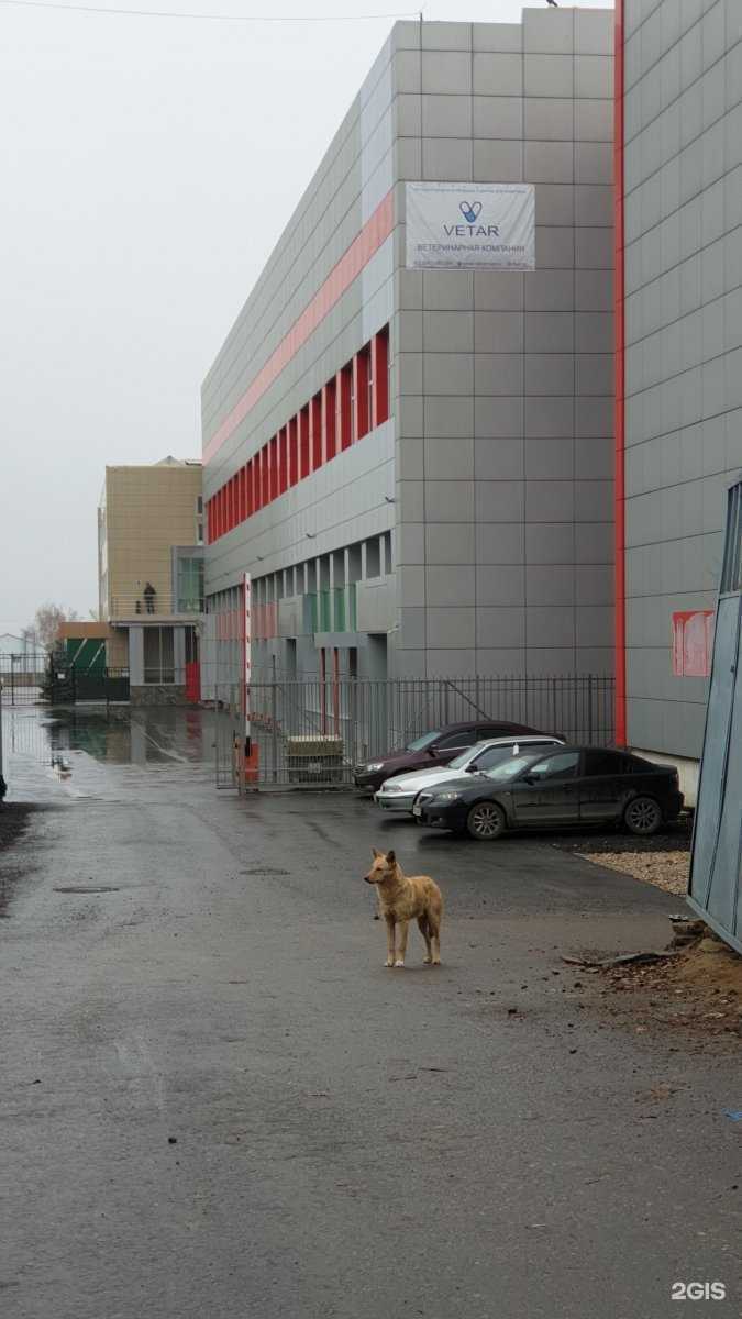 Отзывы на компанию Nita-farm в г. Саратов c фото