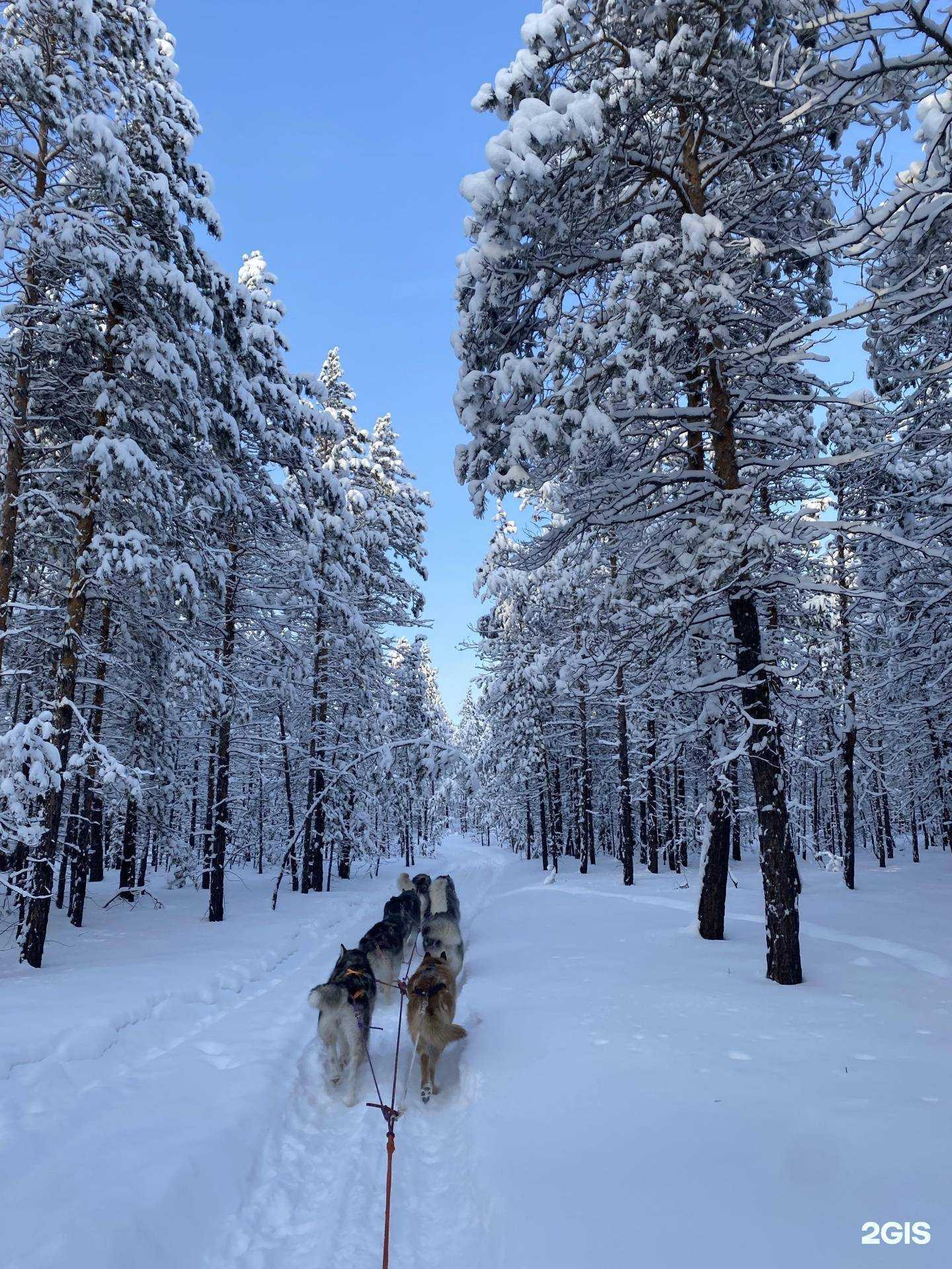 Отзывы на компанию Дьол в Якутске c фото