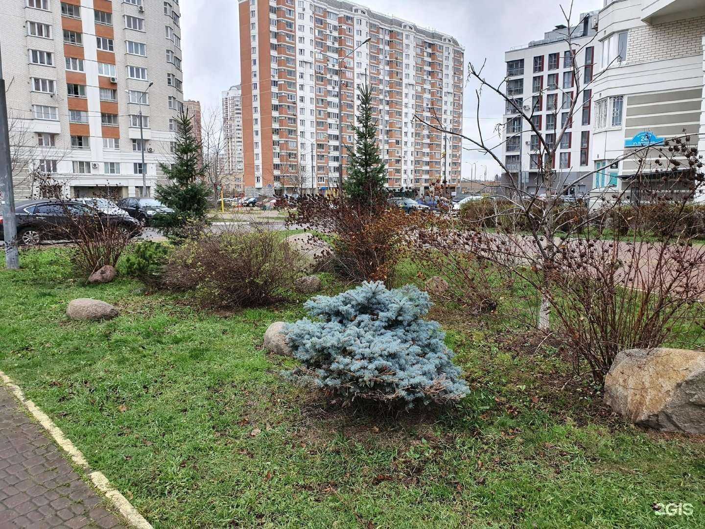 Отзывы на компанию Акварелька в Балашихе c фото - фотография 2 из 2