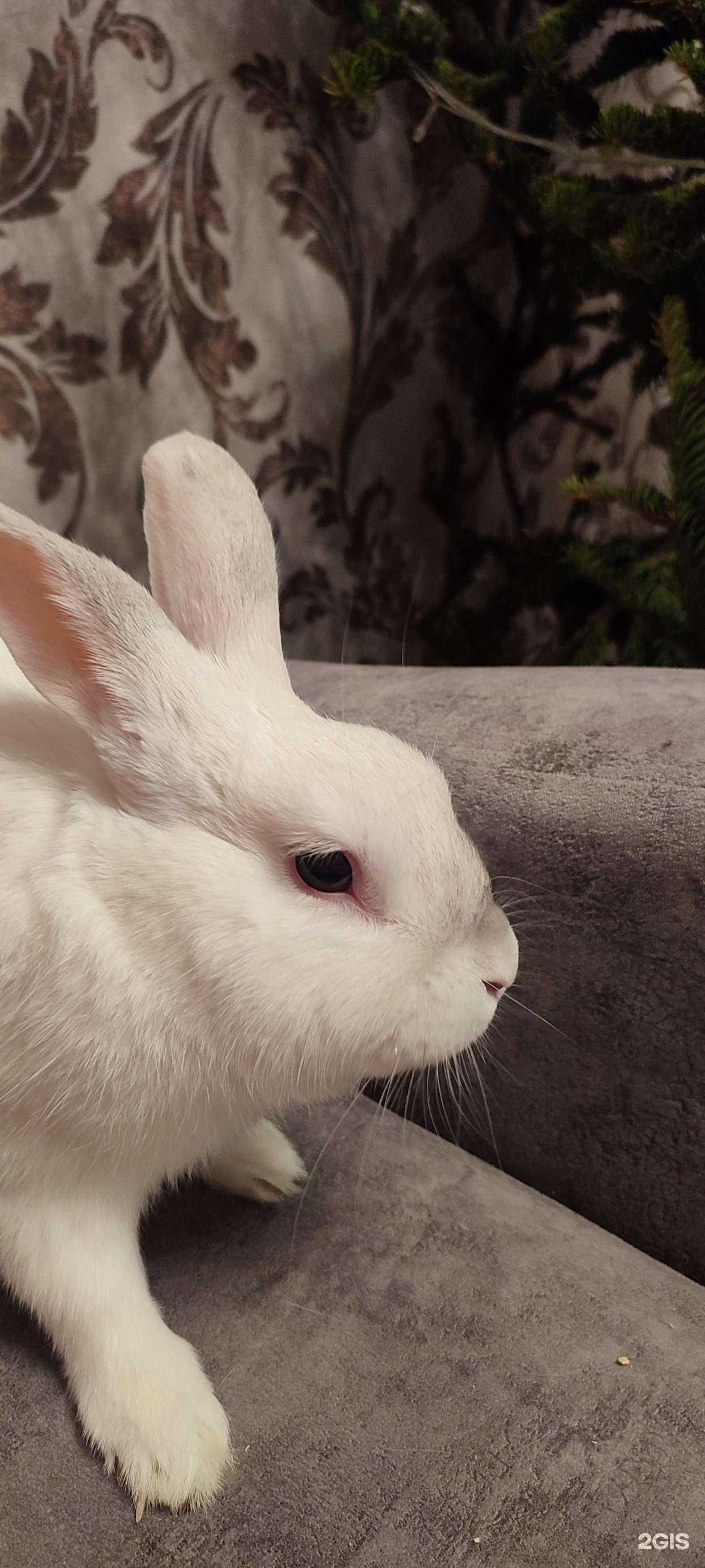 Отзывы на компанию Благовет в г. Барнаул c фото