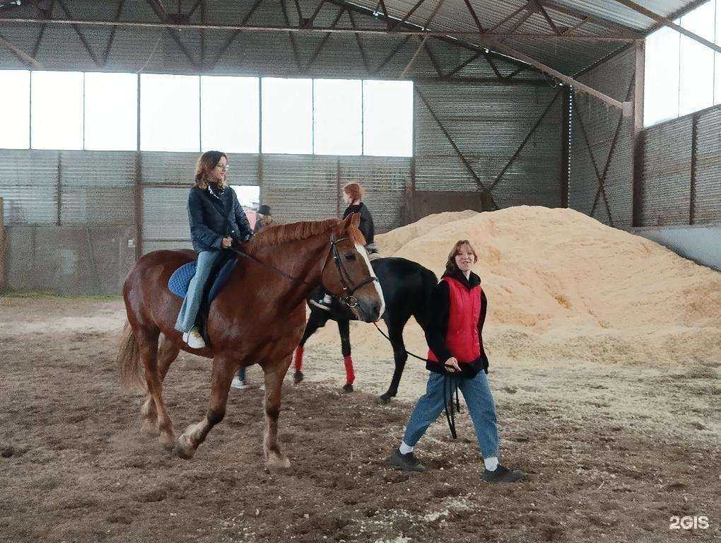 Отзывы на компанию Детская школа искусств Канцона в г. Ярославль c фото