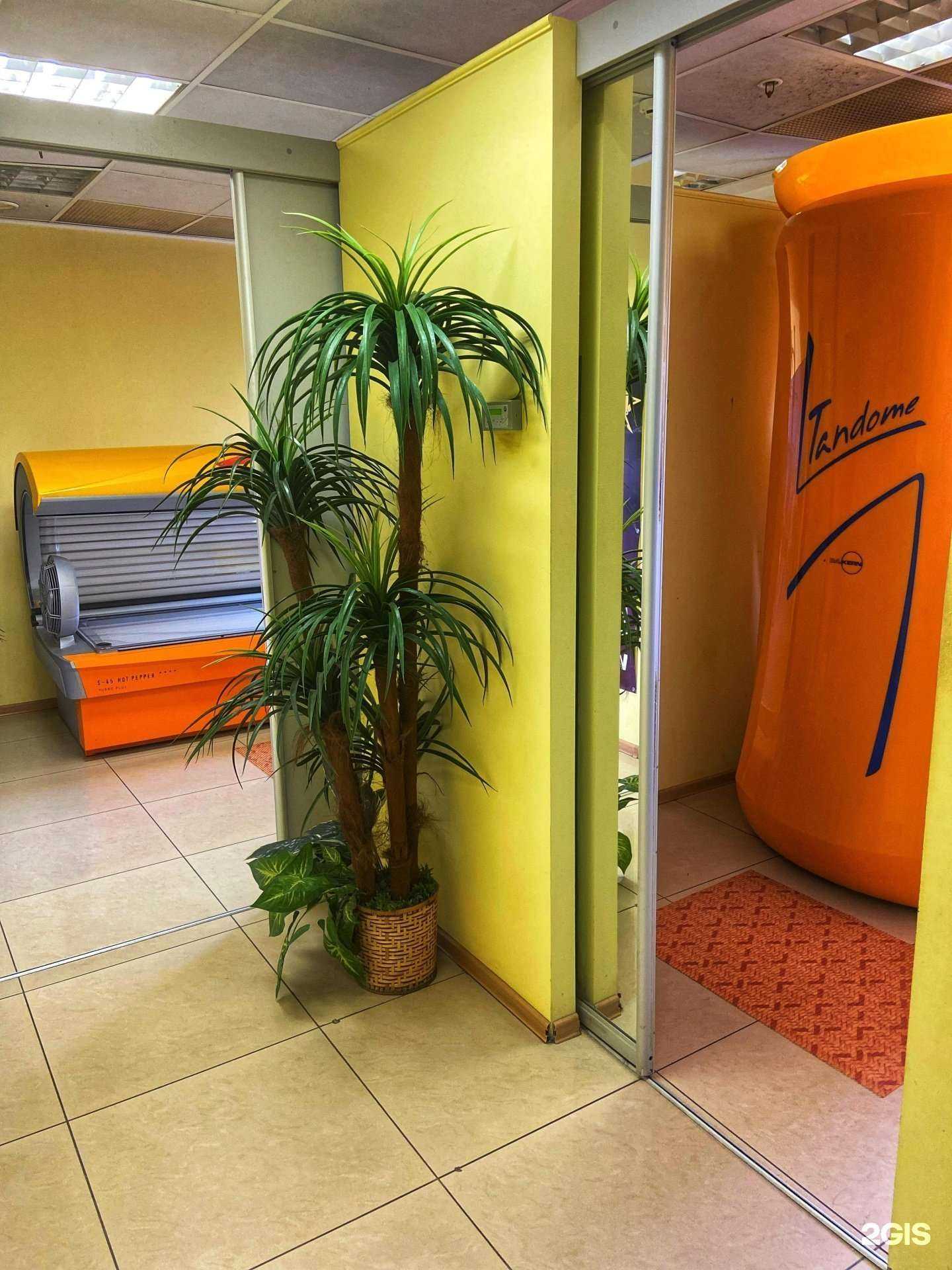 Отзывы на компанию Тропикана в Уфе c фото