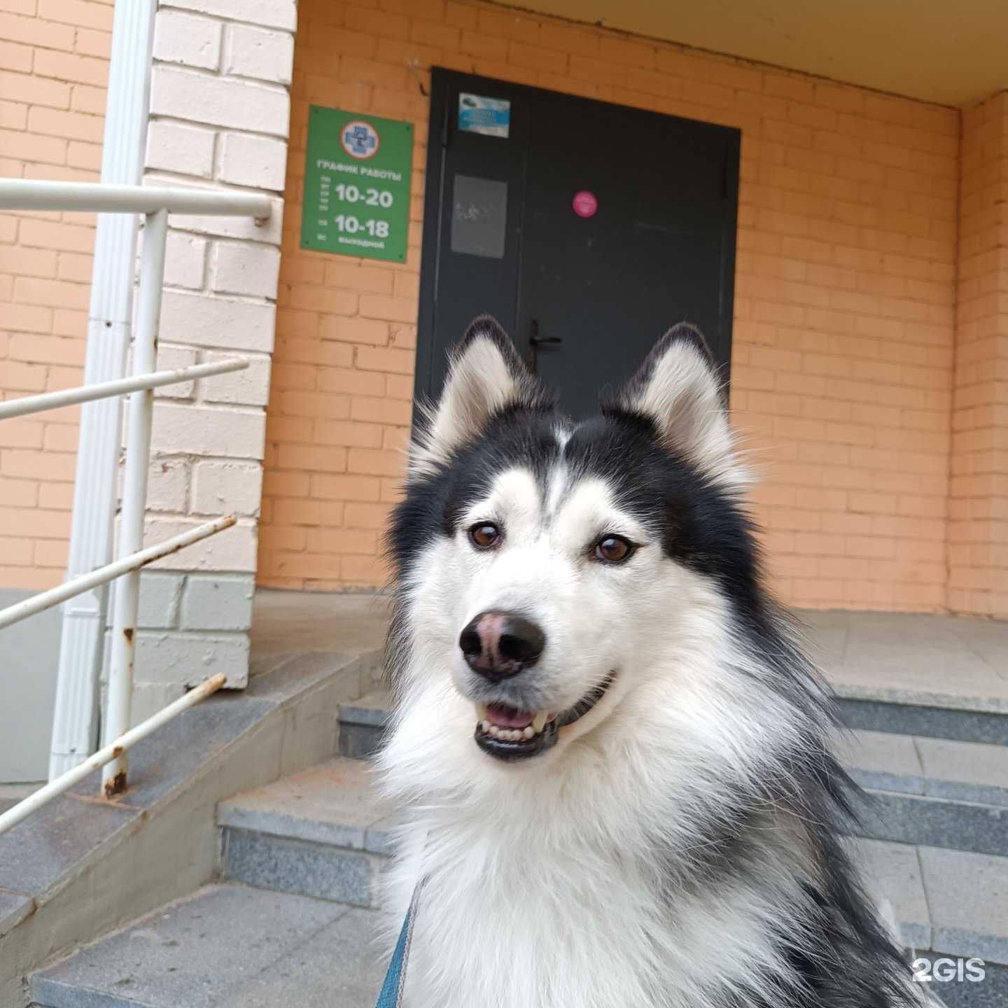 Отзывы на компанию Ветеринарный кабинет в Челябинске c фото