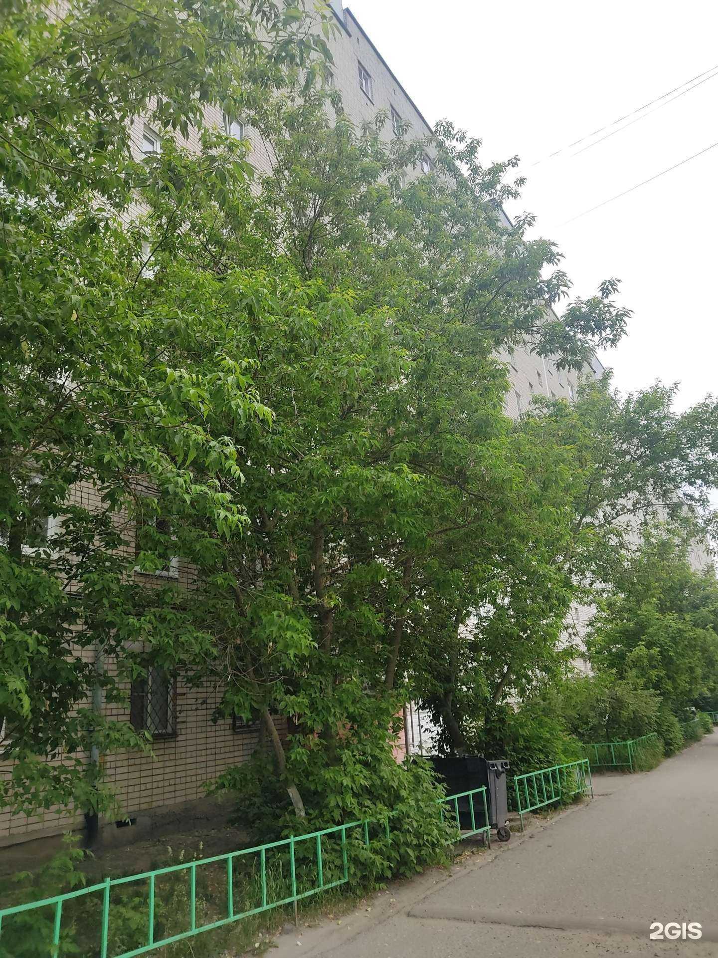 Отзывы на компанию Калейдоскоп в Дзержинске c фото - фотография 2 из 2