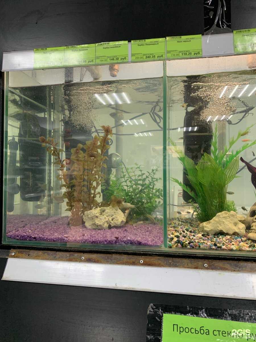 Отзывы на компанию ЗооМир в Петрозаводске c фото