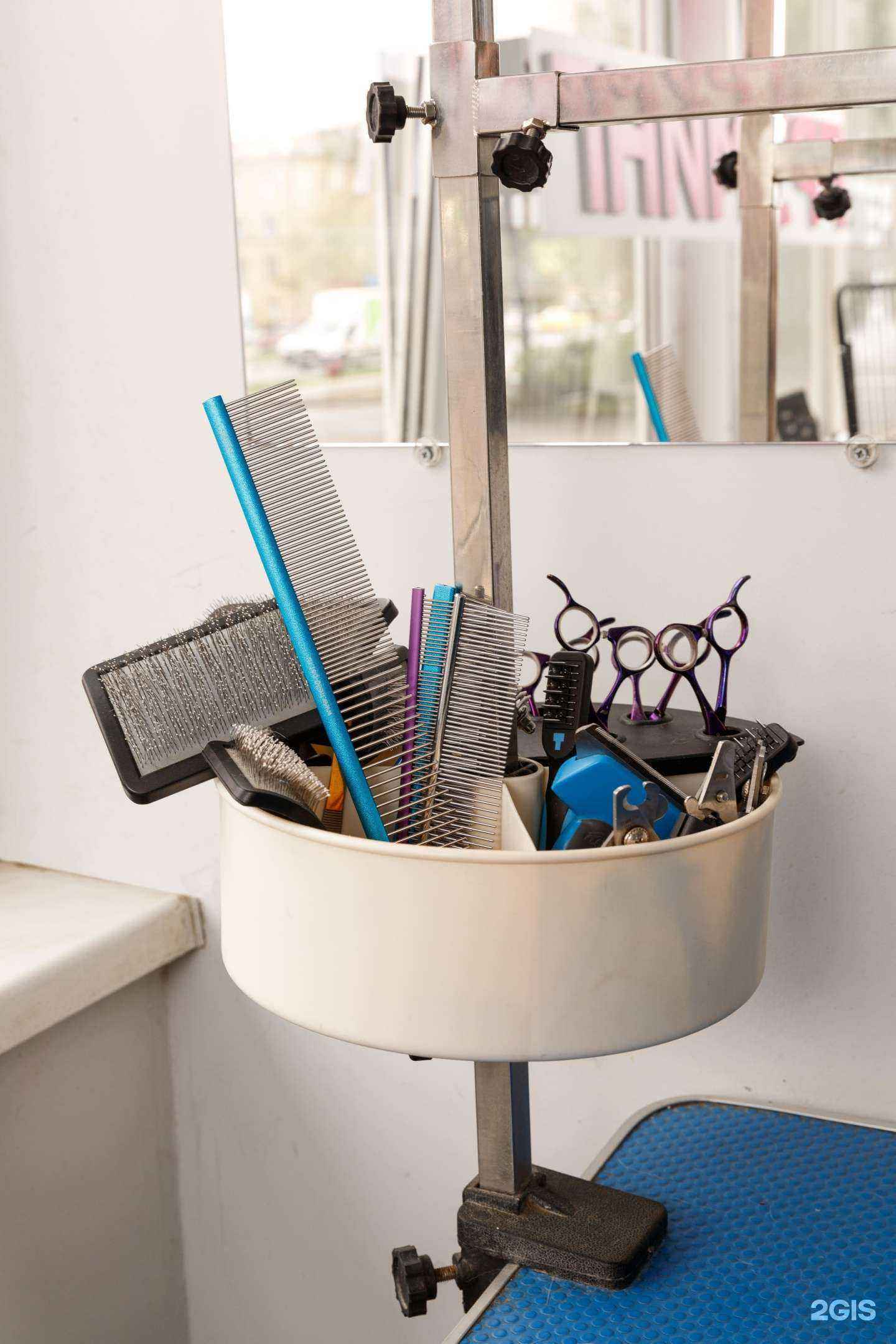 Отзывы на компанию Четыре Лапы в Щёлкове c фото