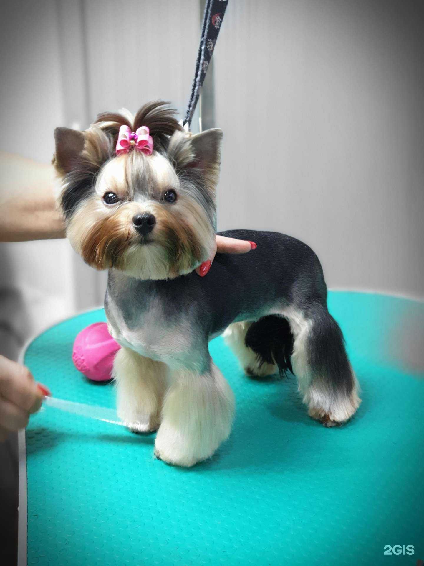 Отзывы на компанию Алекса в Калининграде c фото