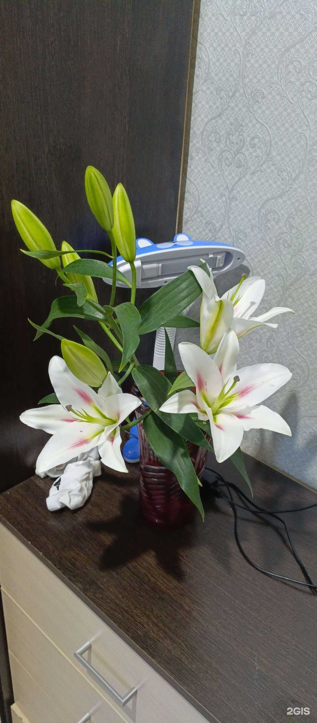 Отзывы на компанию Anna Rosa в Перми c фото