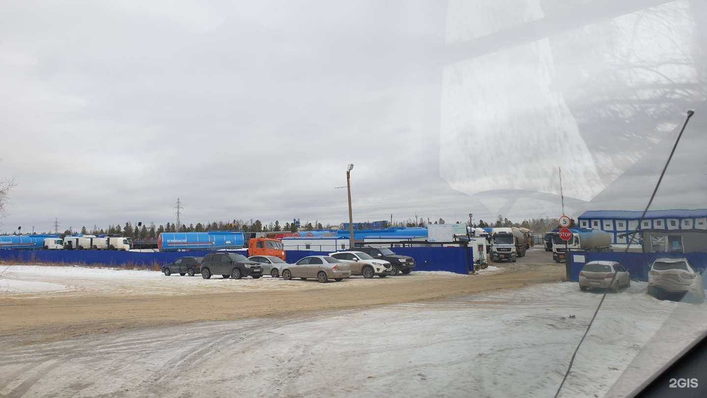 Отзывы на компанию Кастор в г. Новый Уренгой c фото