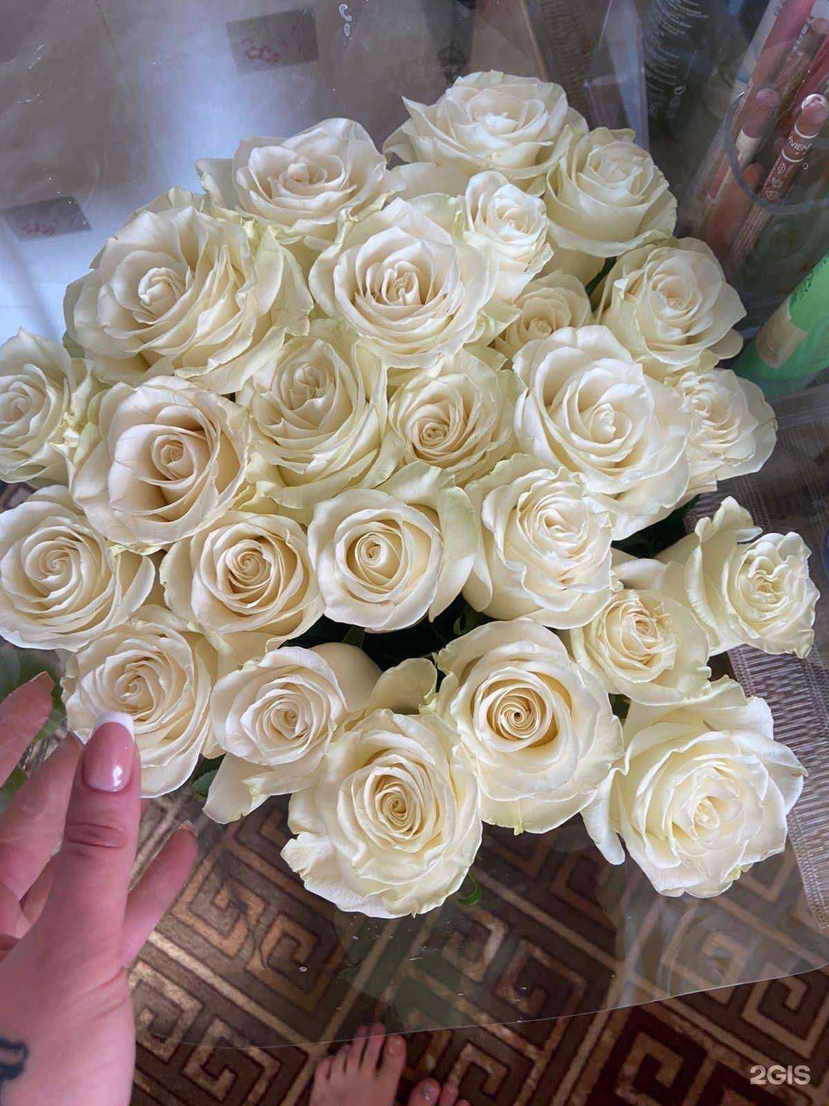 Отзывы на компанию Цветочный ПРП в г. Невинномысск c фото