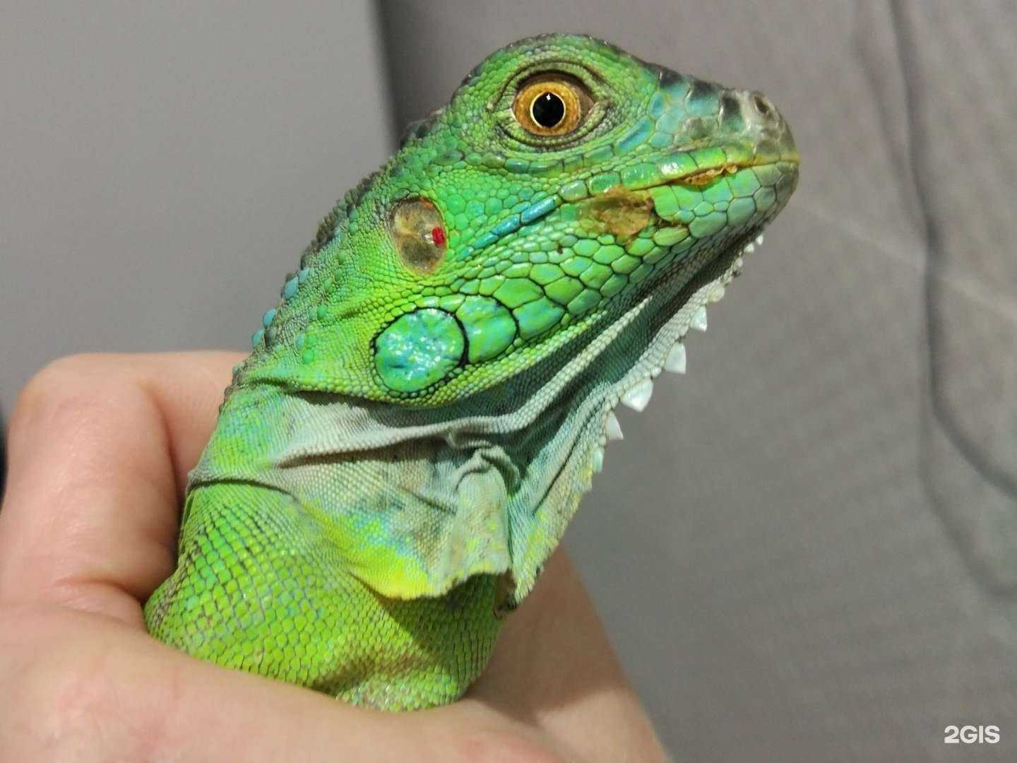 Отзывы на компанию Василиск в Краснодаре c фото