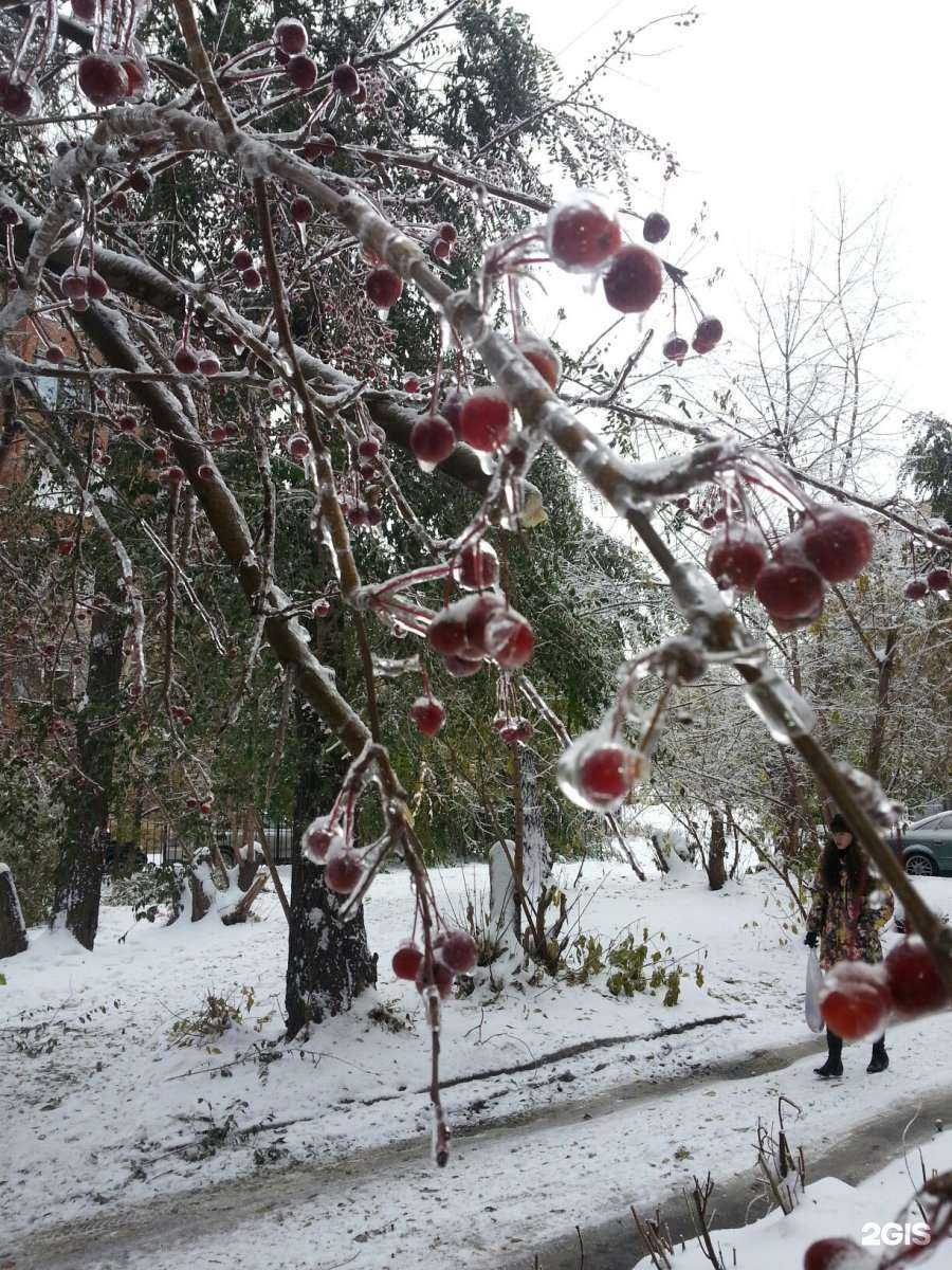Отзывы на компанию Ск юнион в г. Челябинск c фото