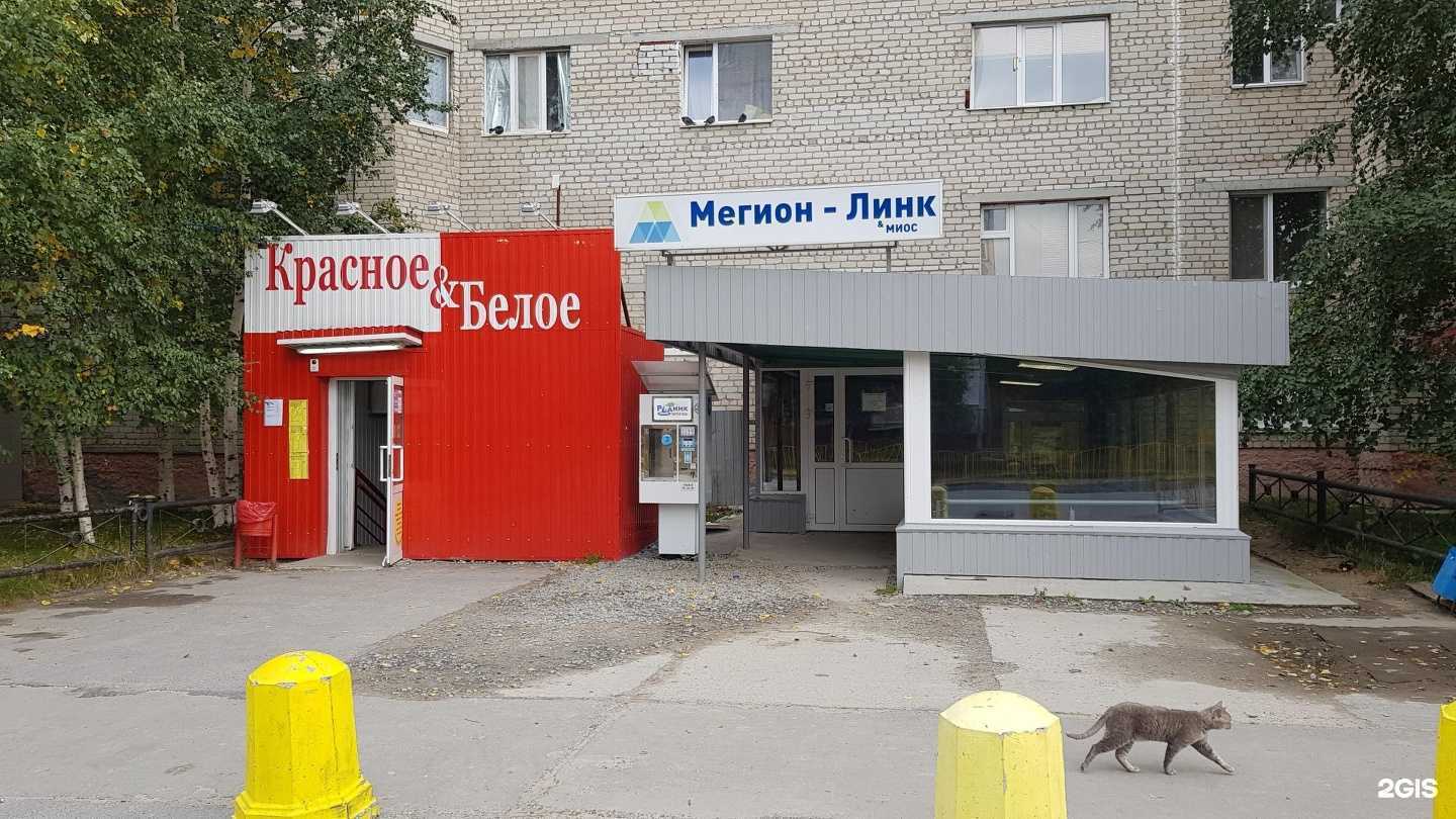 Отзывы на компанию Мегион-линк и миос в г. Мегион c фото