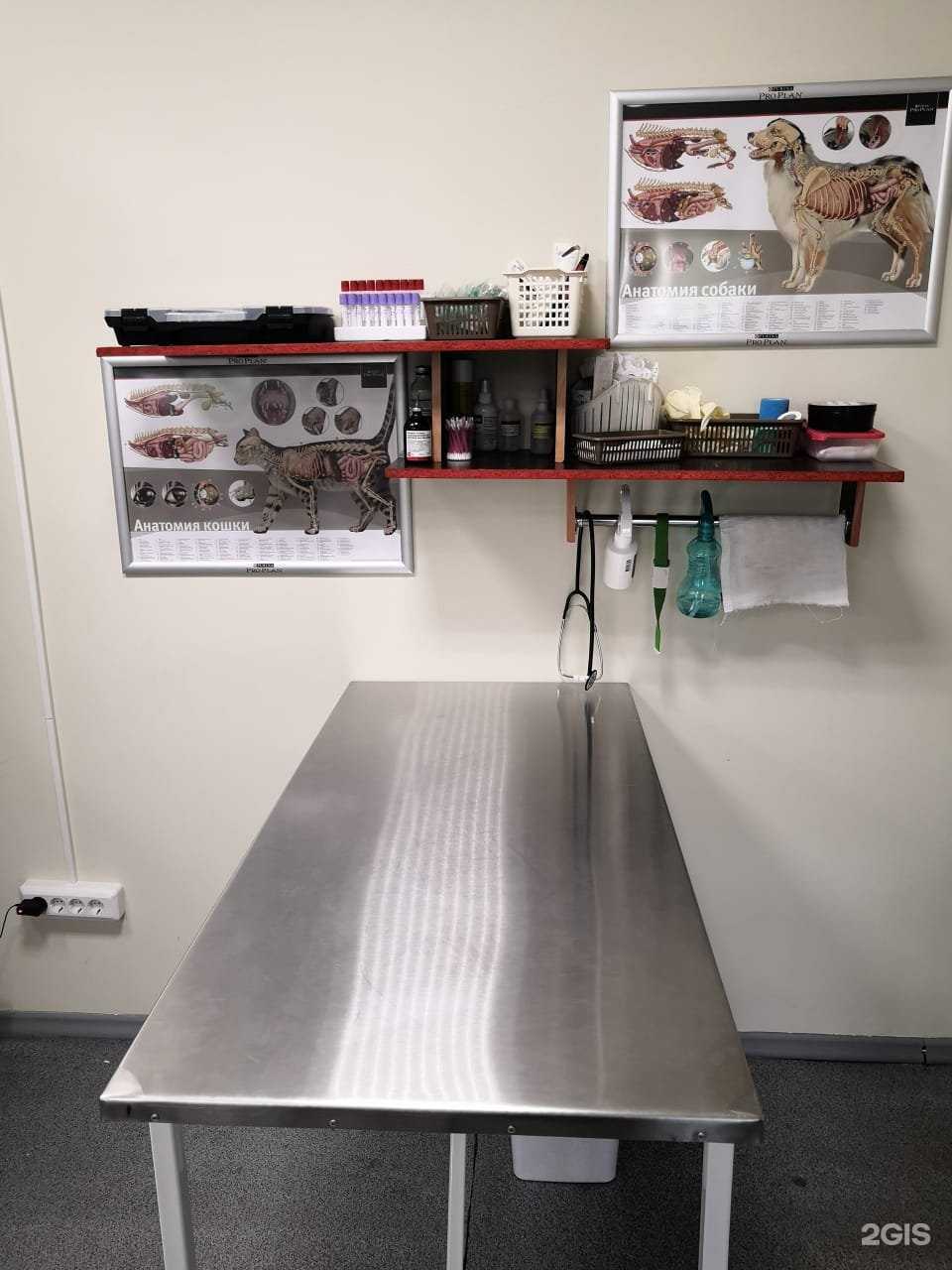 Отзывы на компанию Живет в Новосибирске c фото