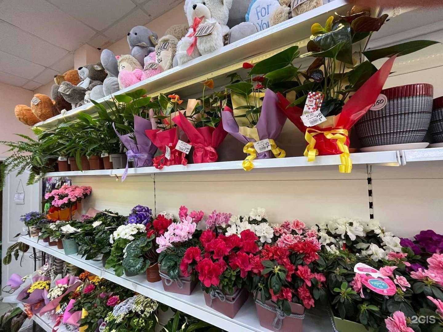 Отзывы на компанию Планета Цветов в Калуге c фото