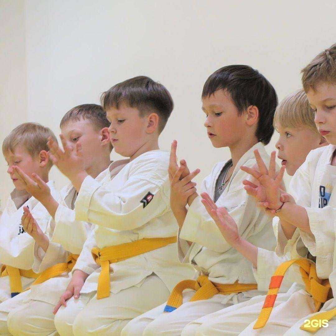 Отзывы на компанию Нижнетагильская городская федерация айкидо в Нижнем Тагиле c фото