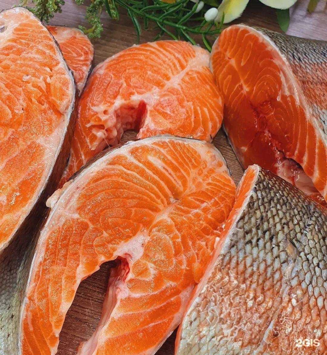 Отзывы на компанию Моя рыбка 63 в г. Самара c фото