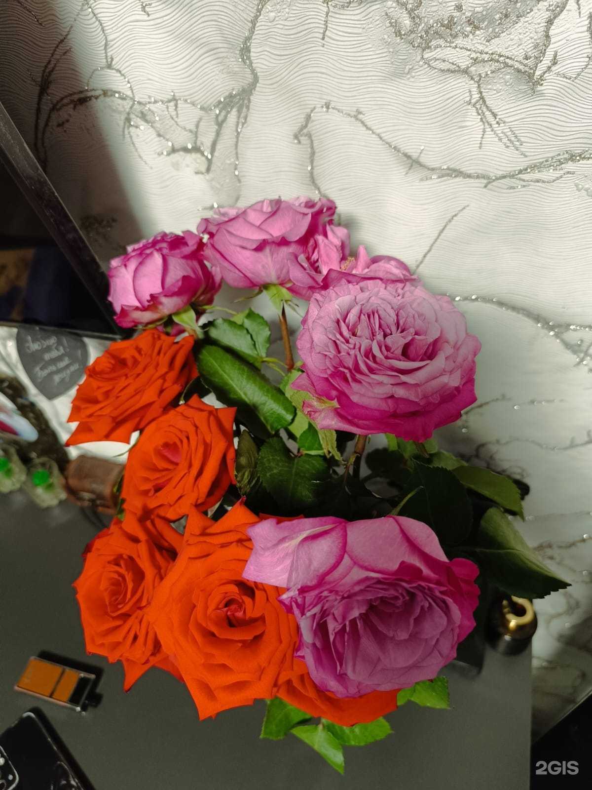 Отзывы на компанию Первый цветочный  в г. Архангельск c фото