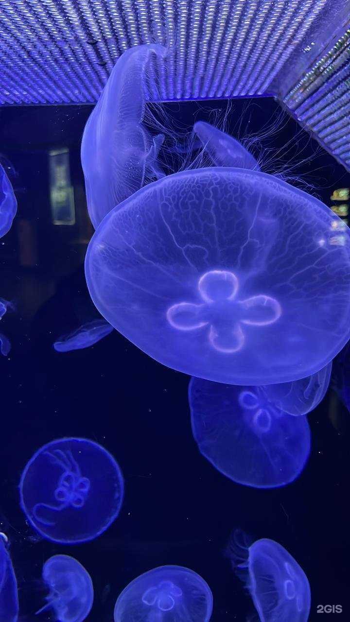 Отзывы на компанию Томская областная коллегия адвокатов в Томске c фото