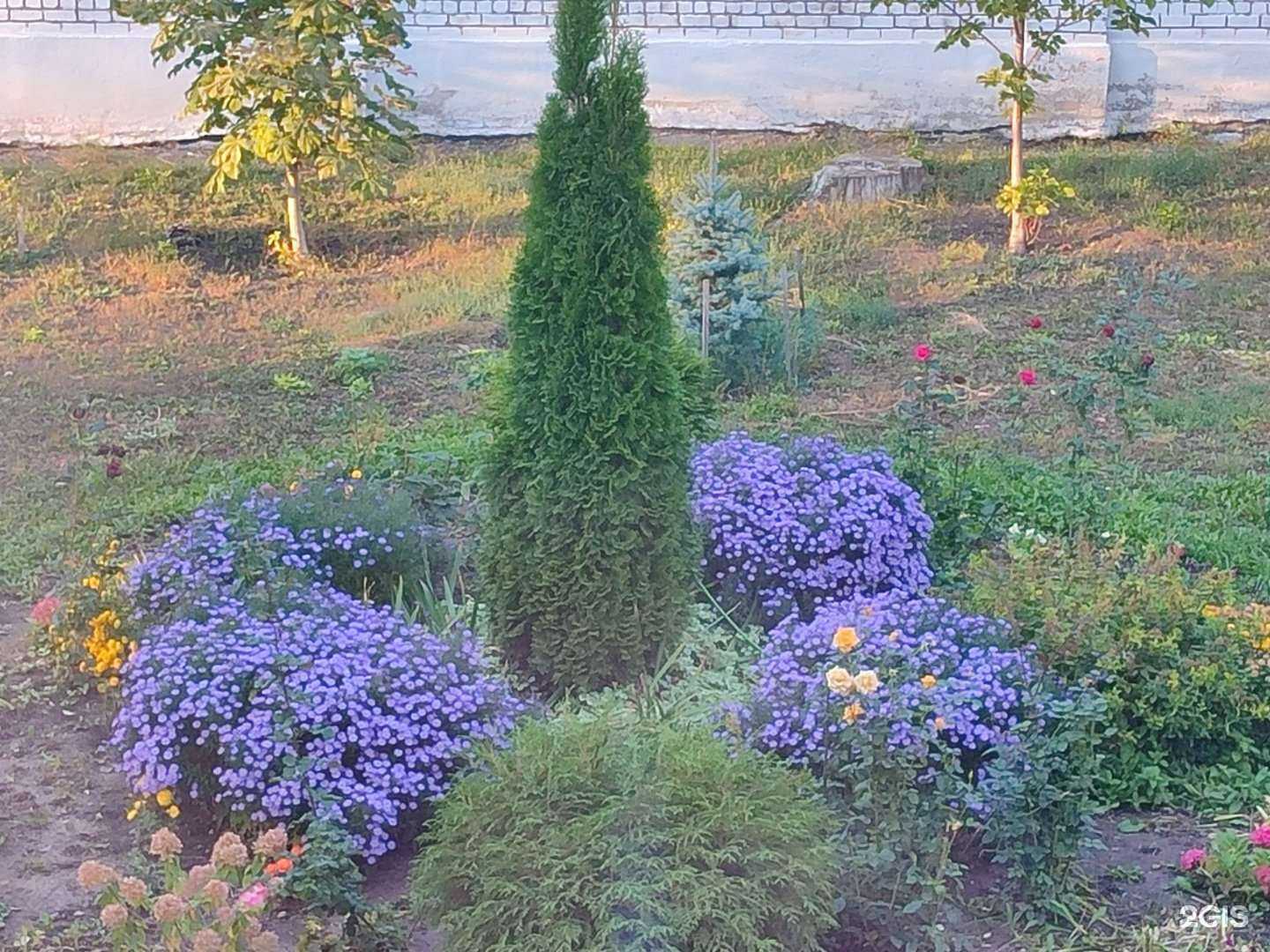 Отзывы на компанию Школа №116 в г. Самара c фото