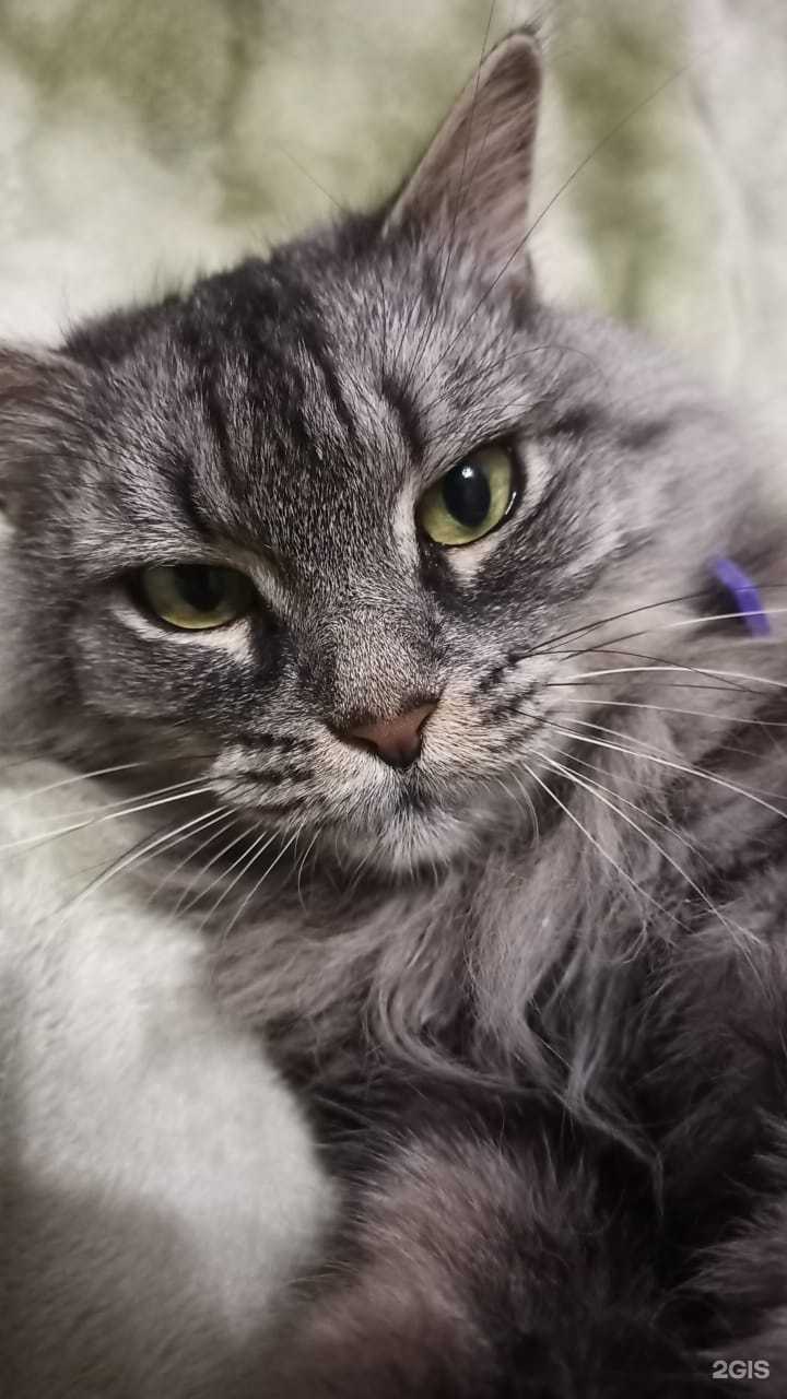 Отзывы на компанию Детский нейропсихолог в г. Петропавловск-Камчатский c фото