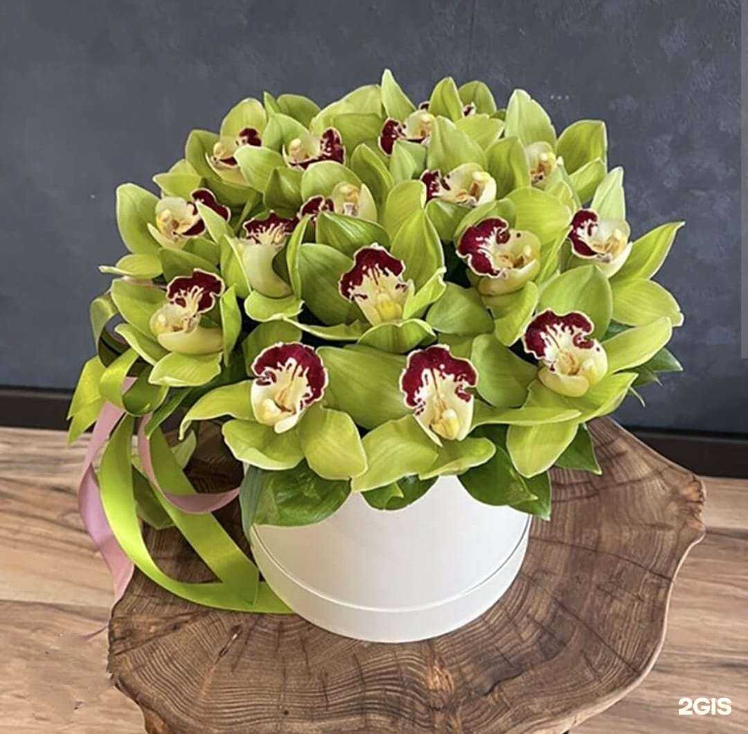 Отзывы на компанию Evergarden в Краснодаре c фото