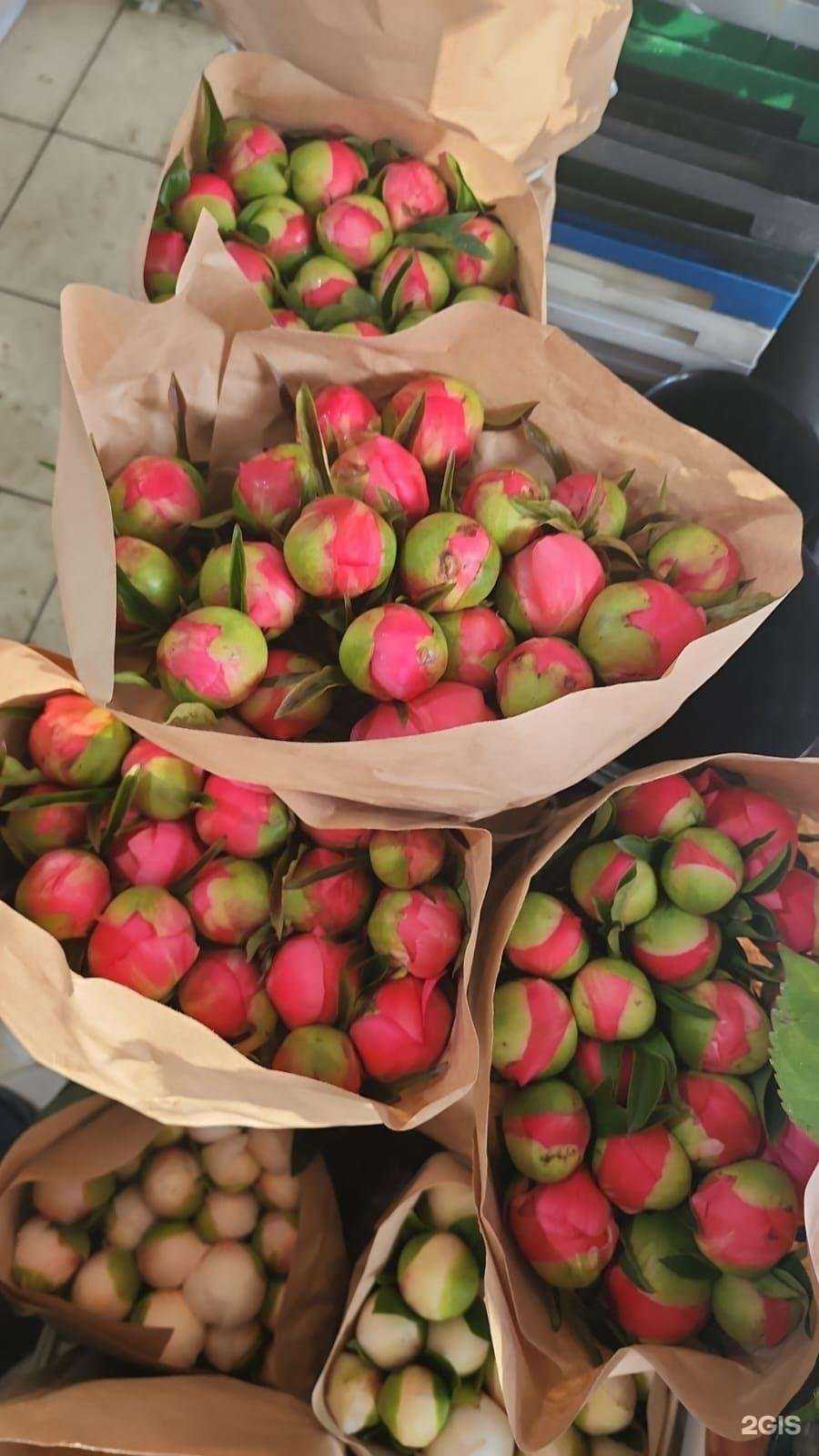 Отзывы на компанию Ali-Marie flowers в Сочи c фото