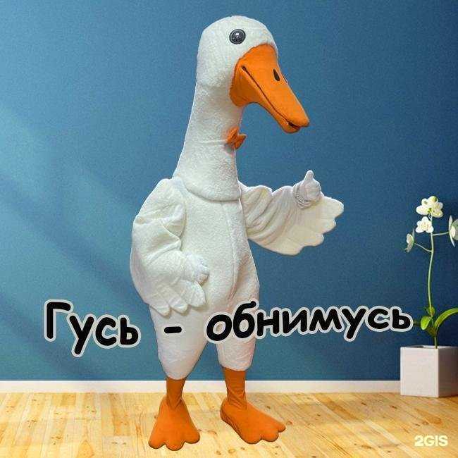 Отзывы на компанию Анимашки в Казани c фото