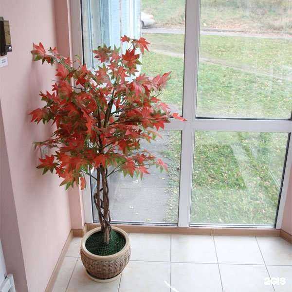 Отзывы на компанию Орто плюс в г. Новокузнецк c фото