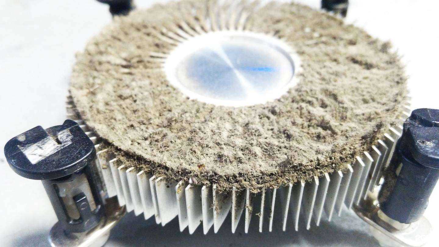 Отзывы на компанию ПримКомпСервис в Владивостоке c фото