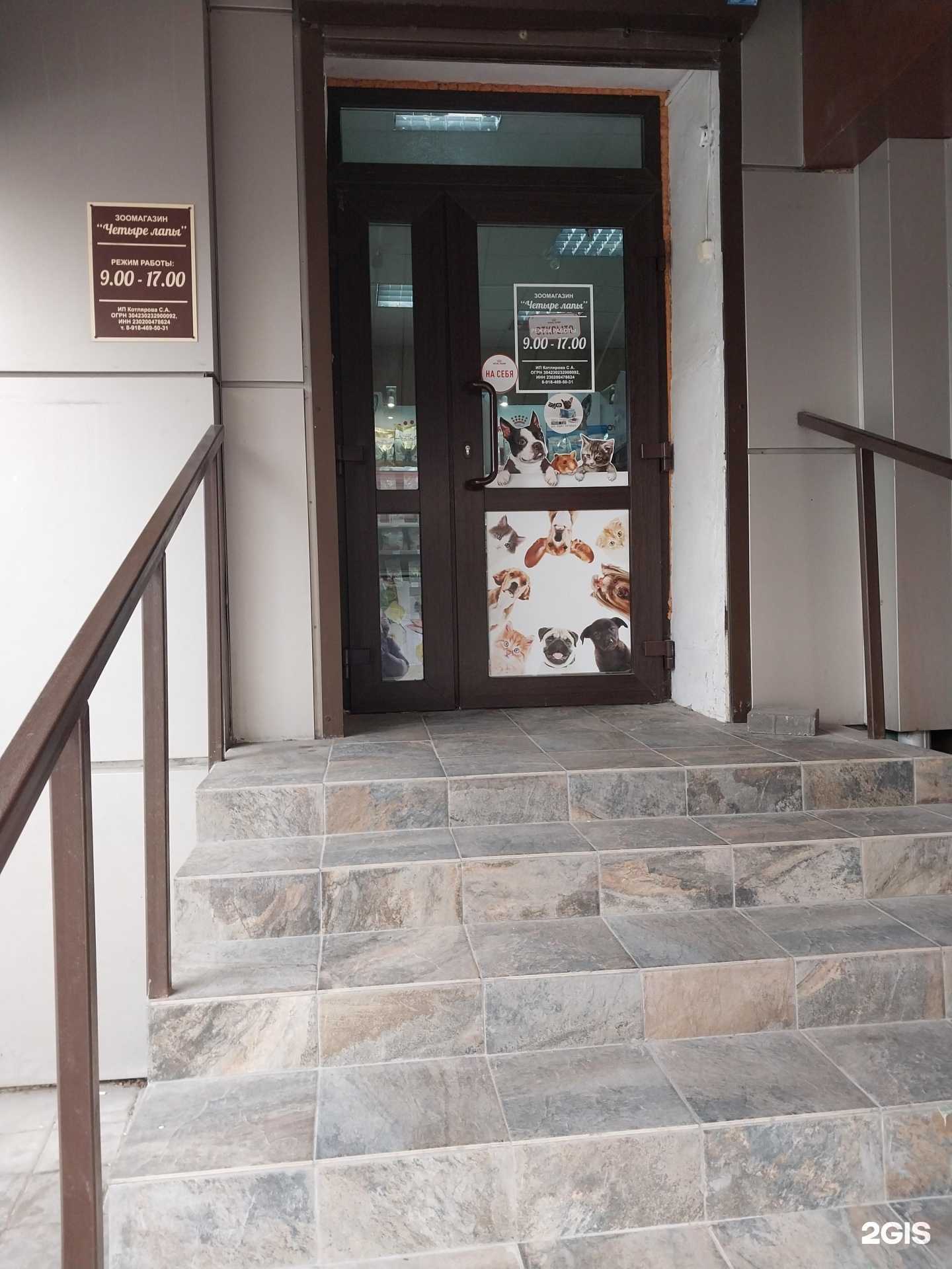 Отзывы на компанию Четыре лапы в Армавире c фото