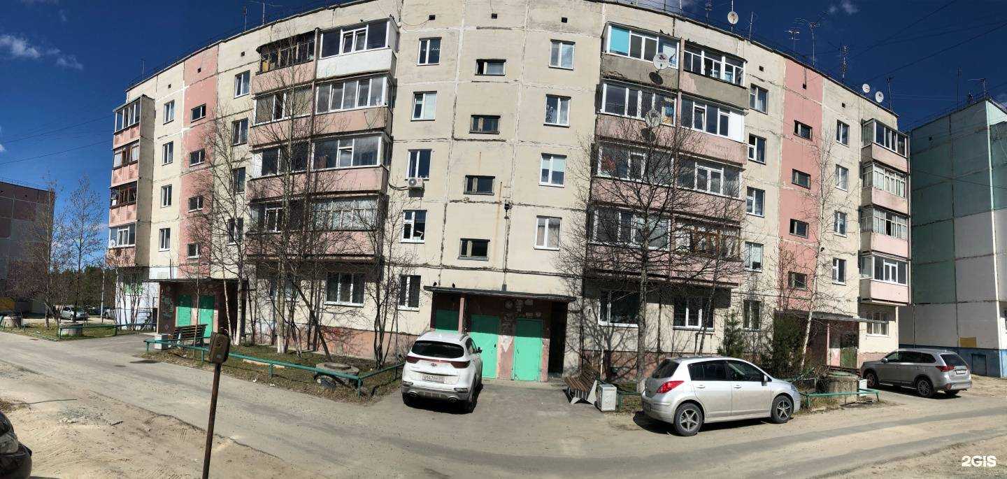 Отзывы на компанию Eshkin kot в Ноябрьске c фото - фотография 2 из 2