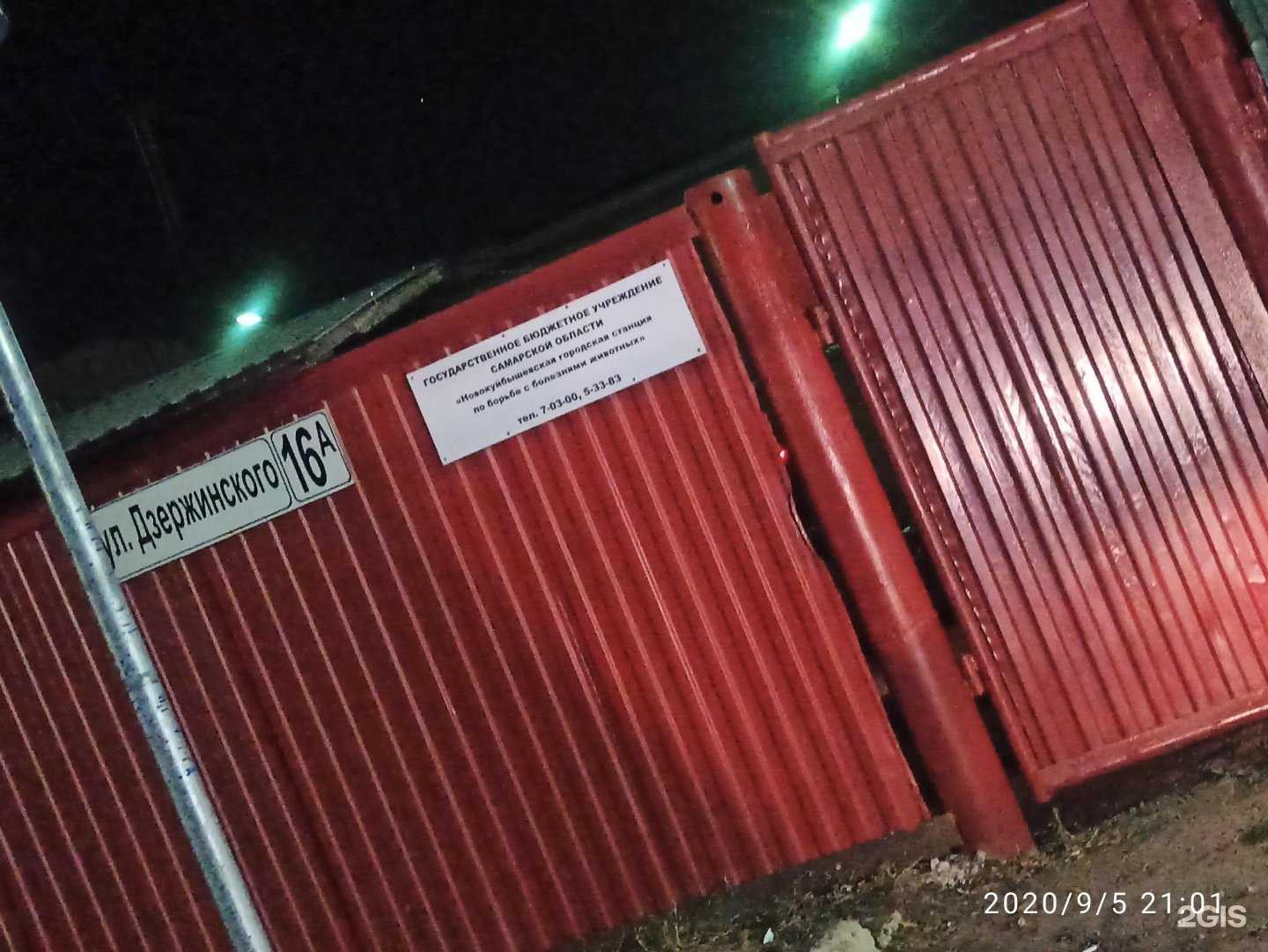 Отзывы на компанию Новокуйбышевская городская станция по борьбе с болезнями животных в г. Новокуйбышевск c фото