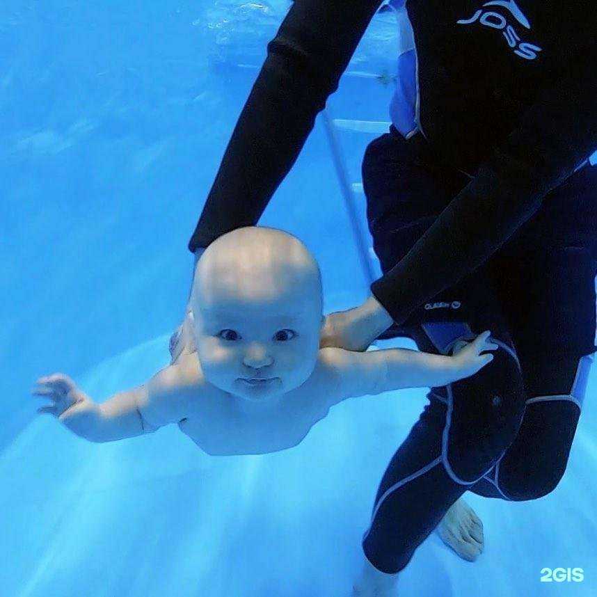 Отзывы на компанию ТОТО в г. Грозный c фото