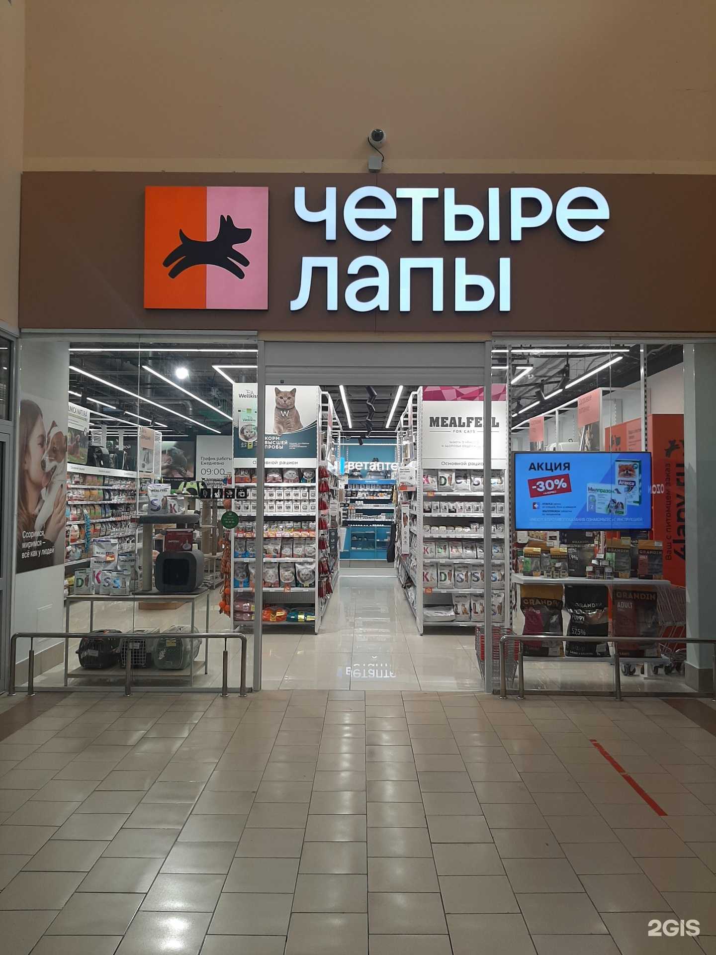 Отзывы на компанию Четыре лапы в Саратове c фото