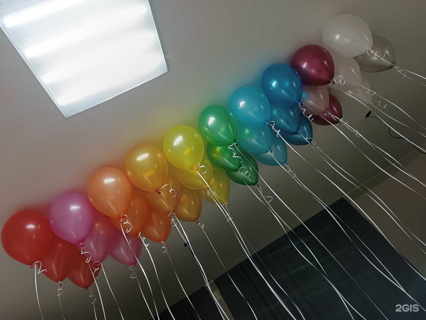 Отзывы на компанию АВамШарик в Краснодаре c фото