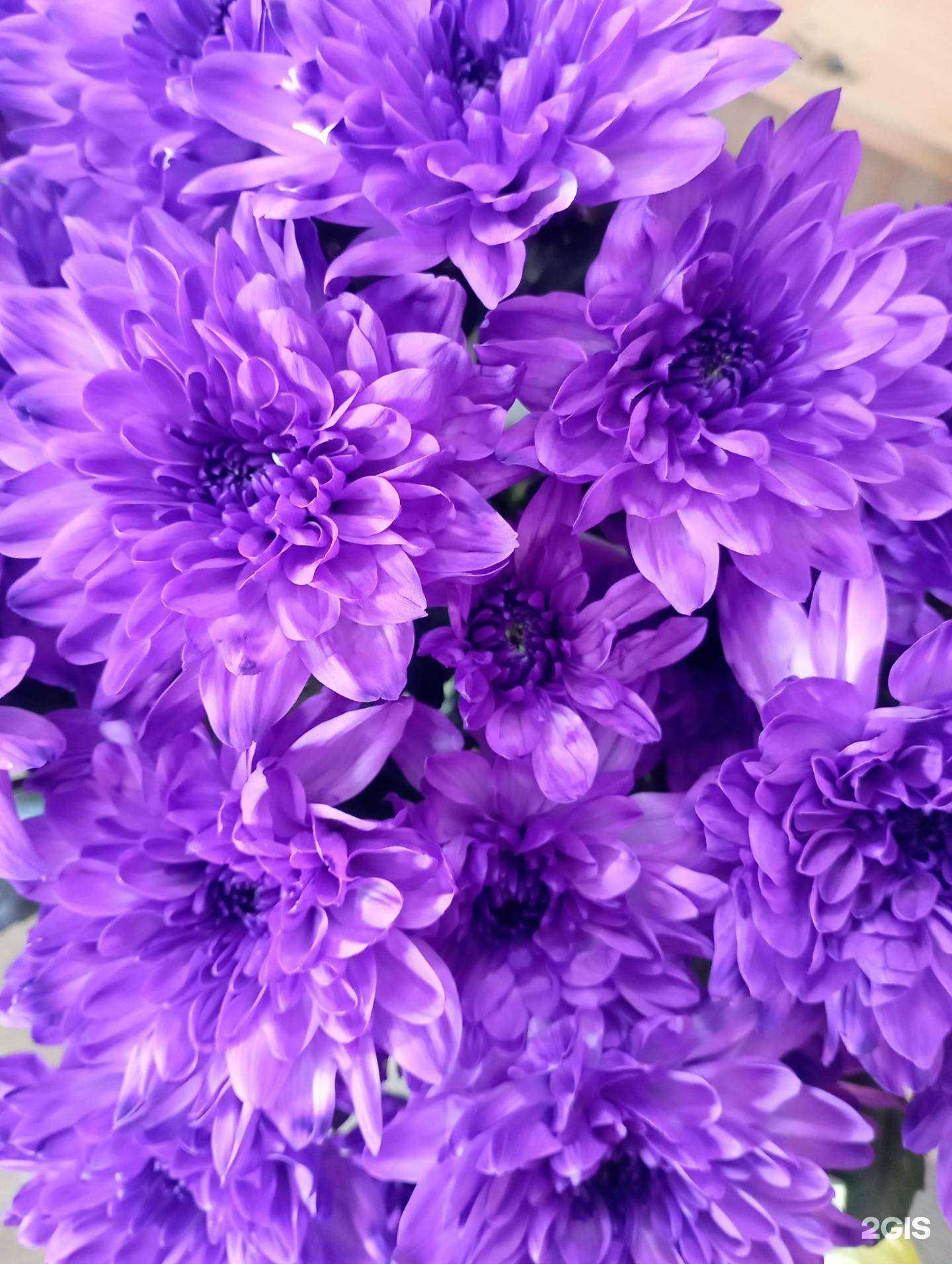 Отзывы на компанию Цветочный салон в Красноярске c фото