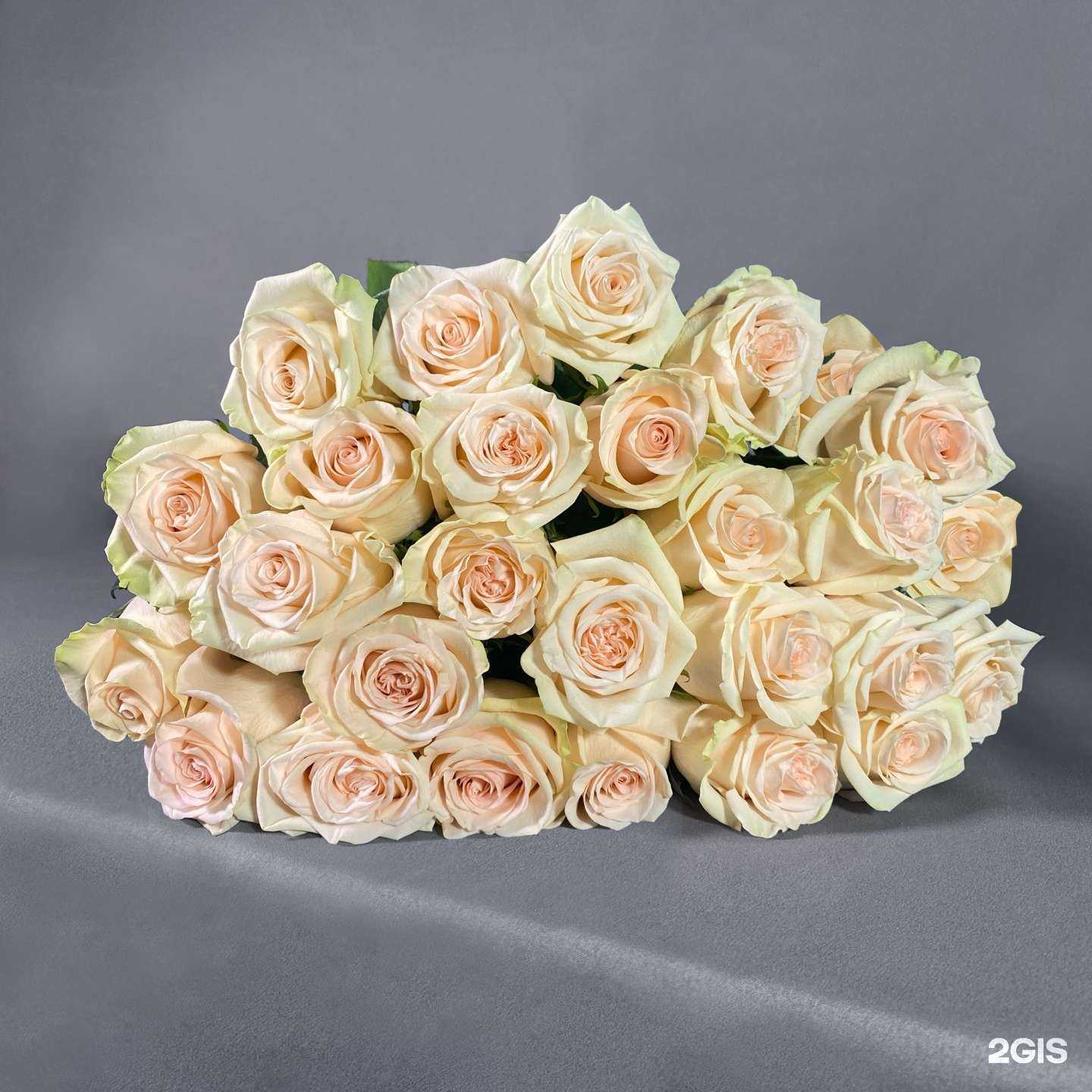 Отзывы на компанию Сити флора в Костроме c фото