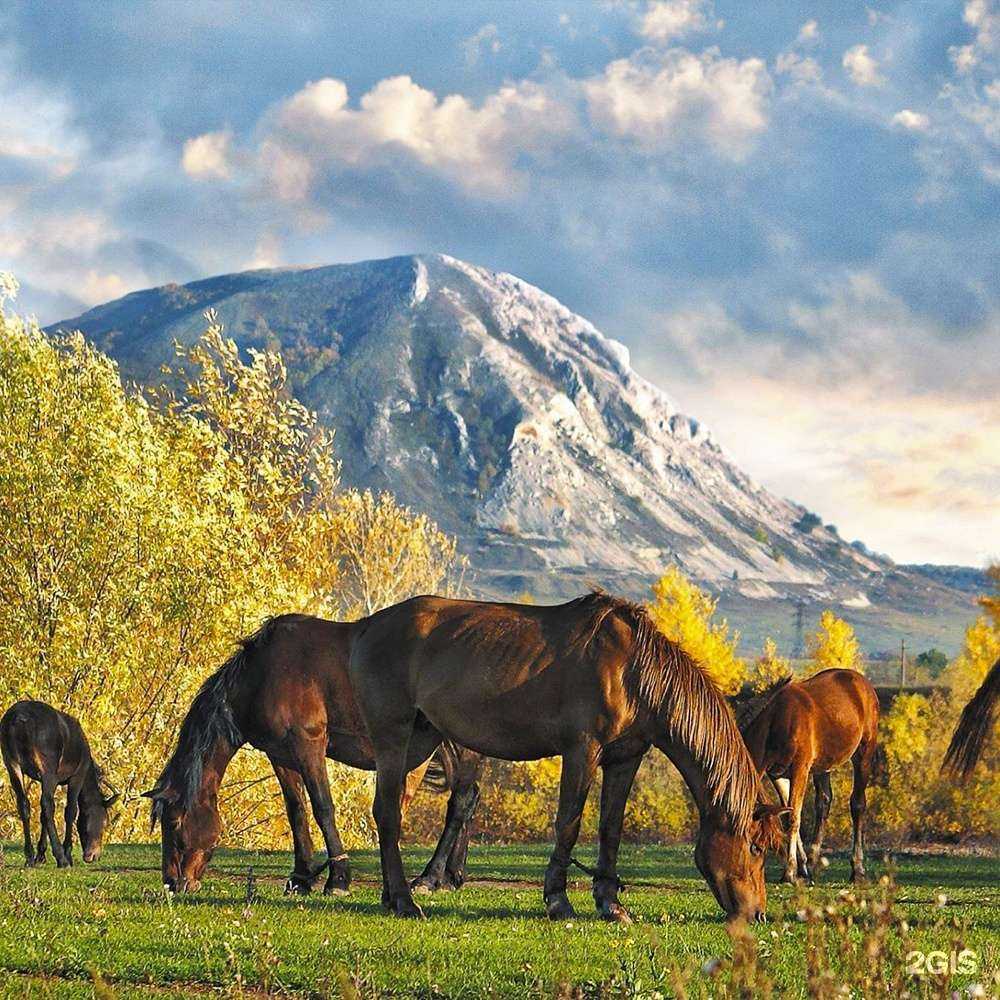 Отзывы на компанию Ваш гид в г. Стерлитамак c фото