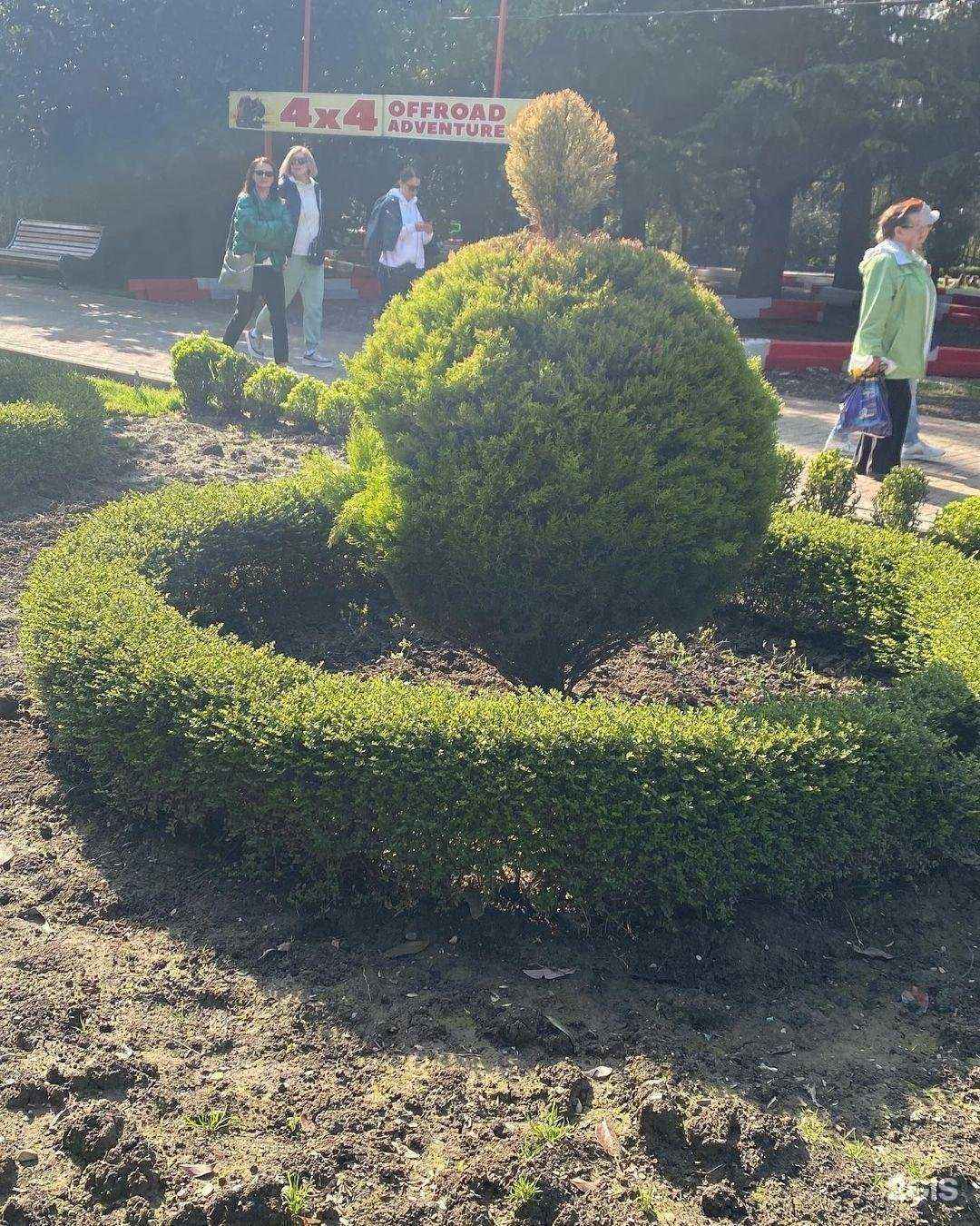 Отзывы на компанию У Наиры в г. Сочи c фото