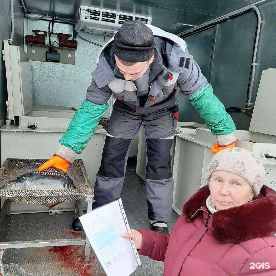 Отзывы на компанию Новокузнецкая городская станция по борьбе с болезнями животных в Новокузнецке c фото