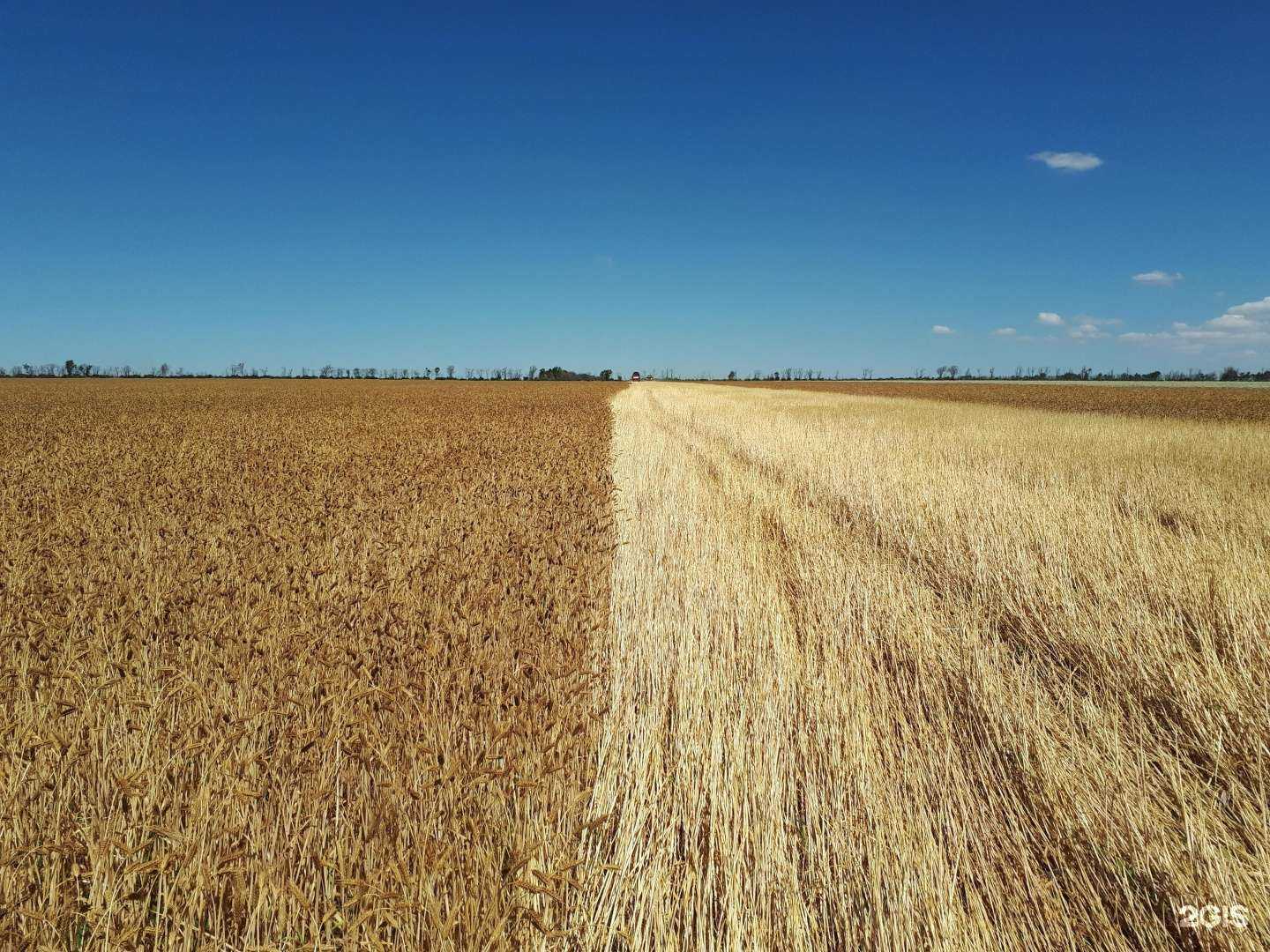 Отзывы на компанию Техгарант в Ростове-на-Дону c фото