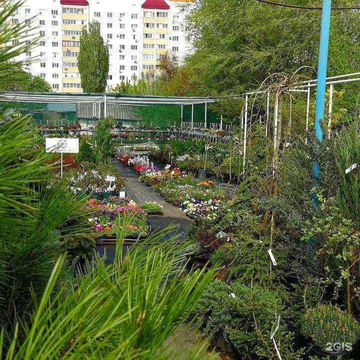 Отзывы на компанию Эльгарден в г. Энгельс c фото