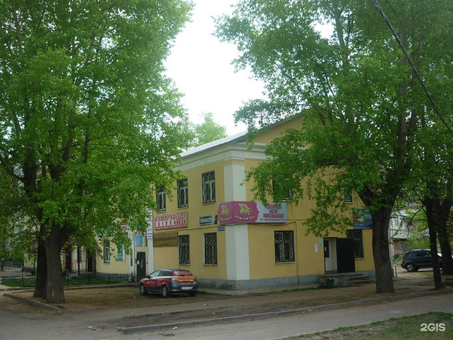 Отзывы на компанию Пес и кот в Орехово-Зуеве c фото - фотография 2 из 2