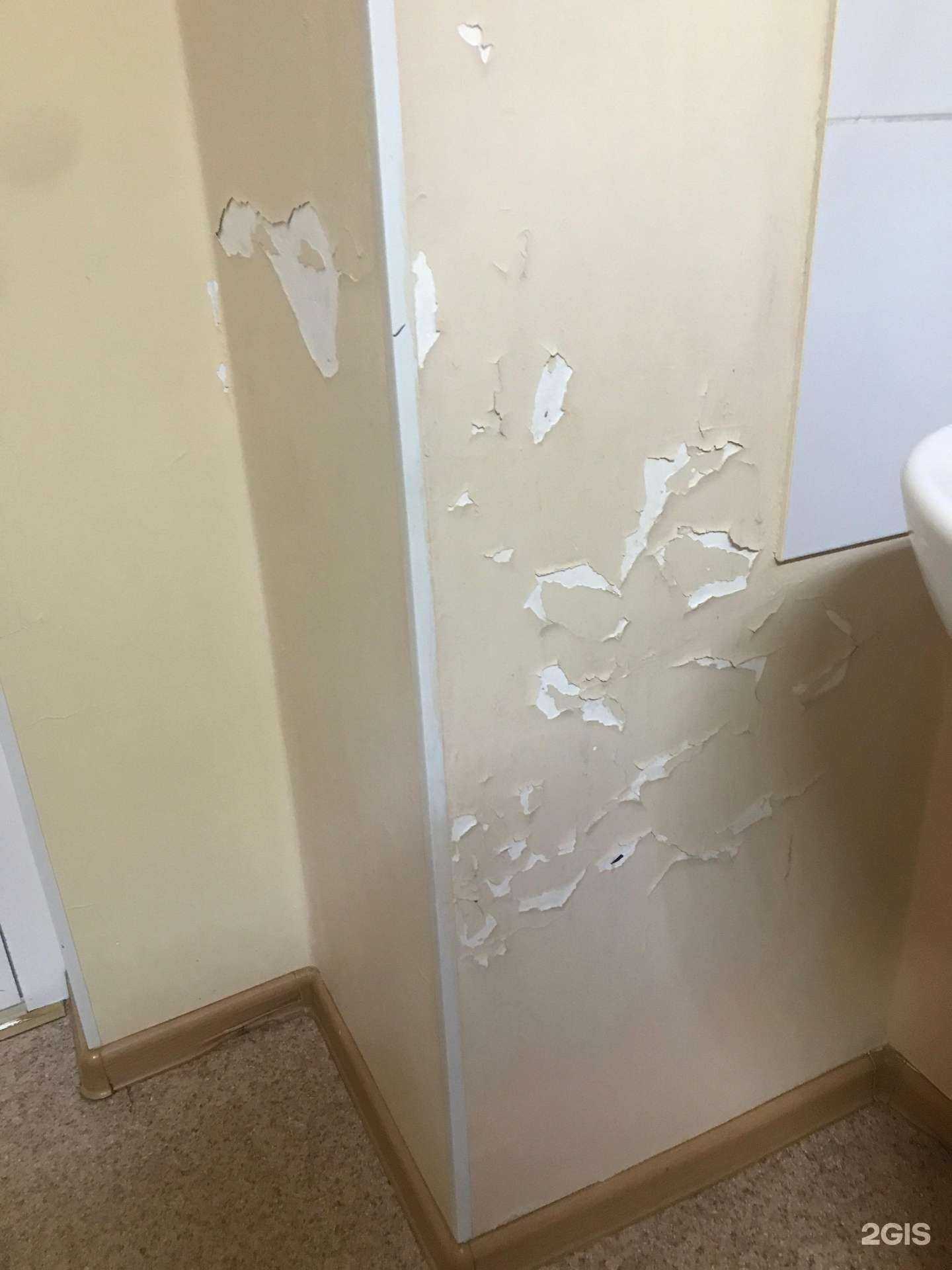 Отзывы на компанию Алтайский краевой клинический центр охраны материнства и детства в г. Барнаул c фото