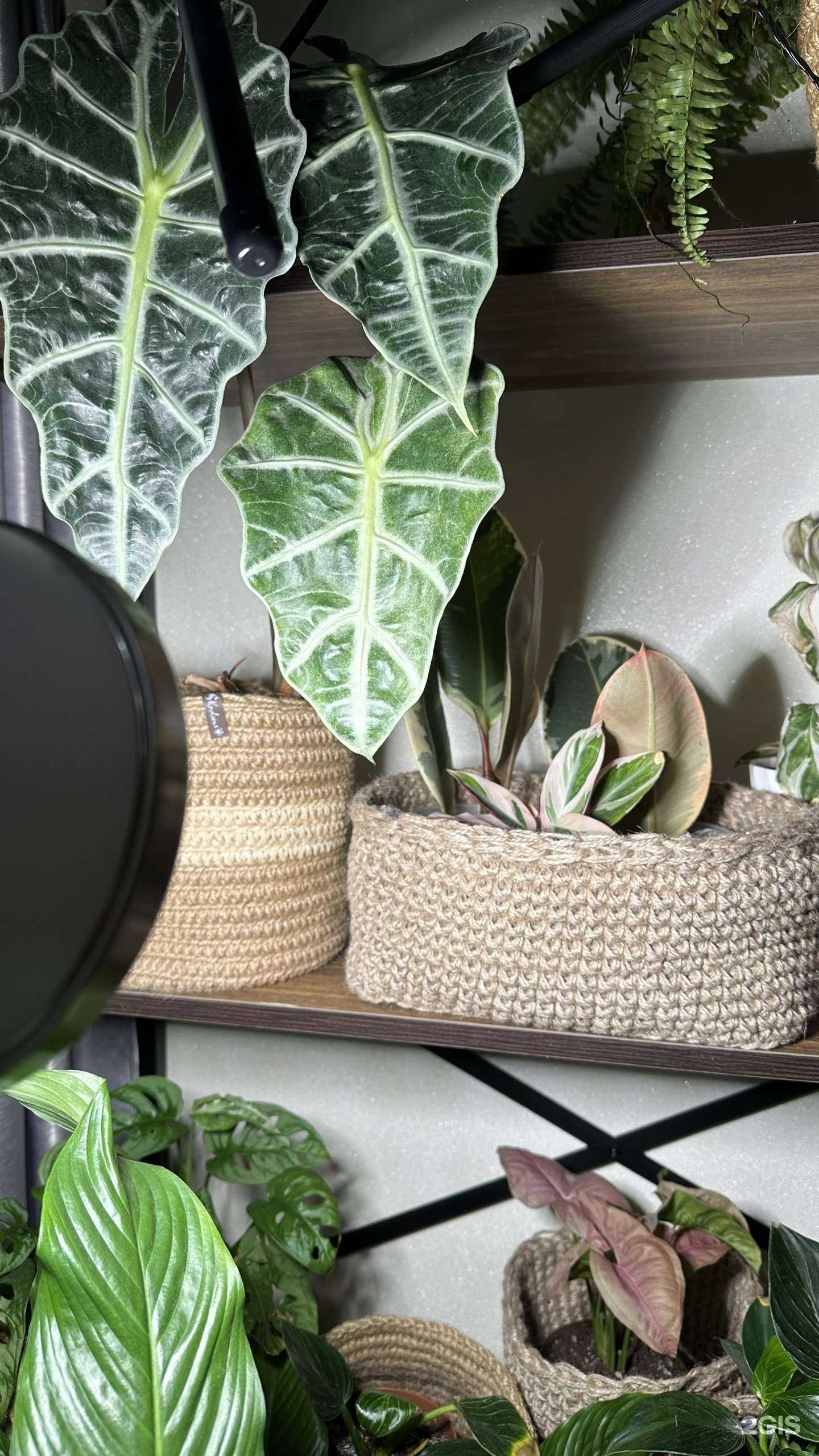 Отзывы на компанию Свети в г. Уфа c фото